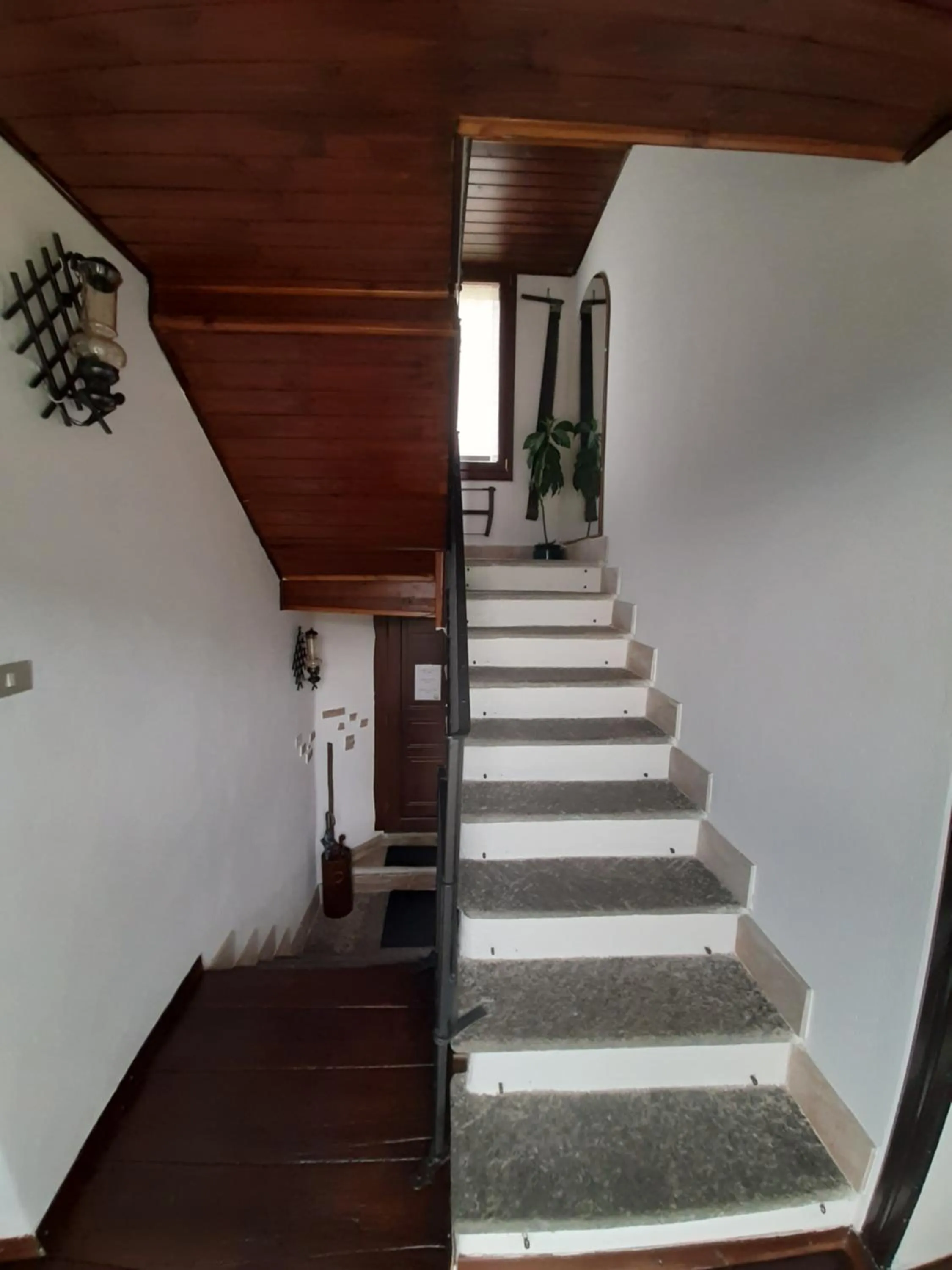 Other in B&B La Locanda del Cinghiale