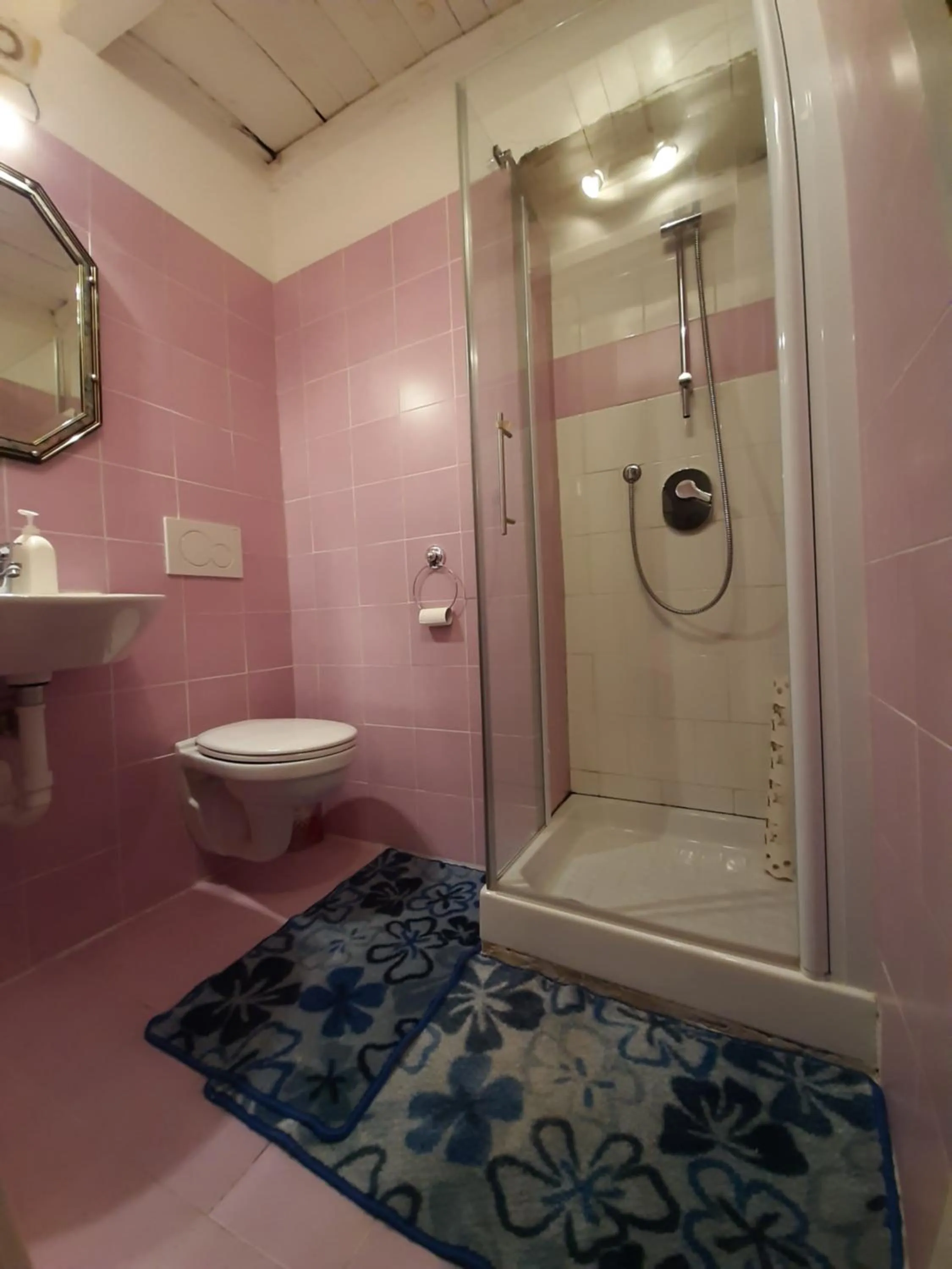 Toilet in B&B La Locanda del Cinghiale