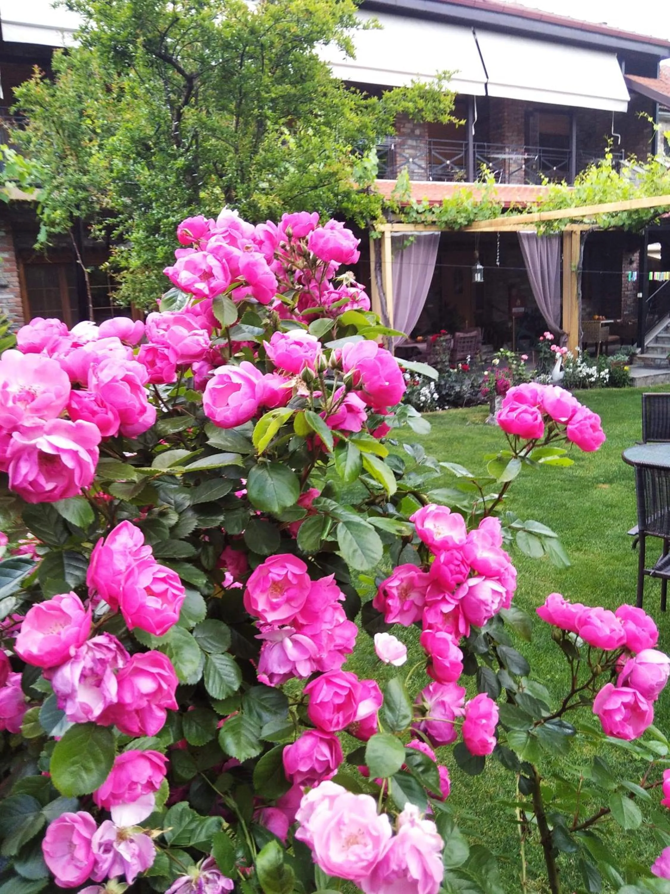 Garden in Pansion Anastasia
