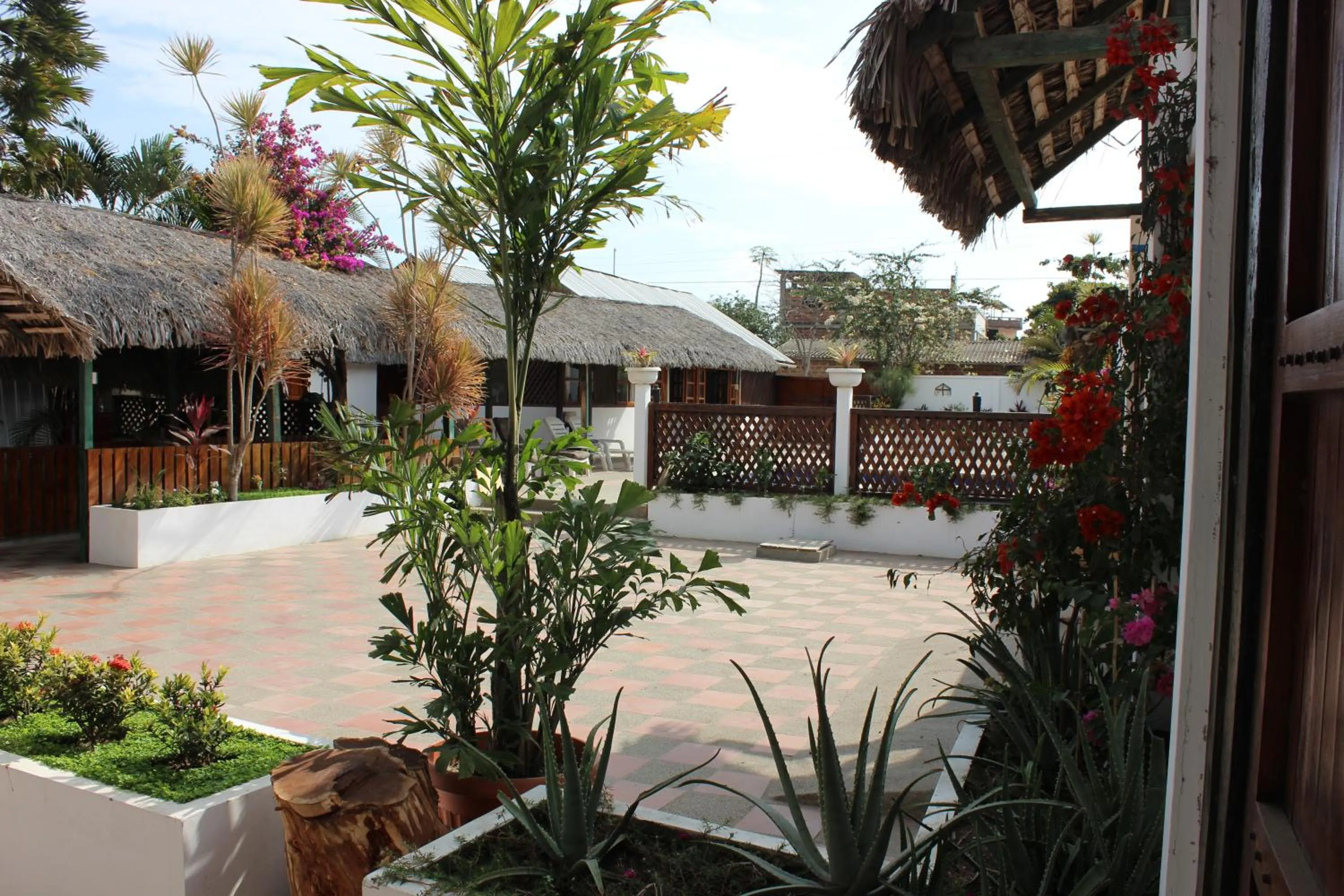 Garden in Casa Aventura