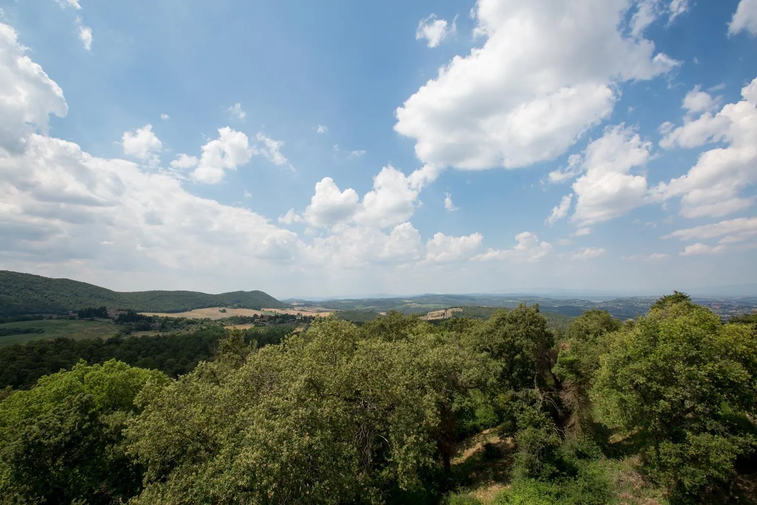 Natural landscape in Cignella Resort