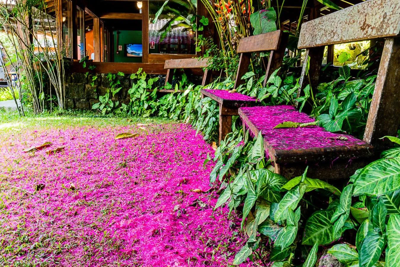 Garden in Pousada Jamboo