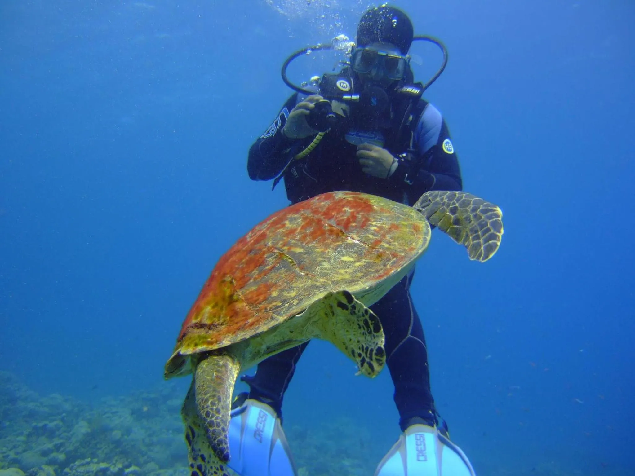 Activities in Daniela Diving Resort Dahab