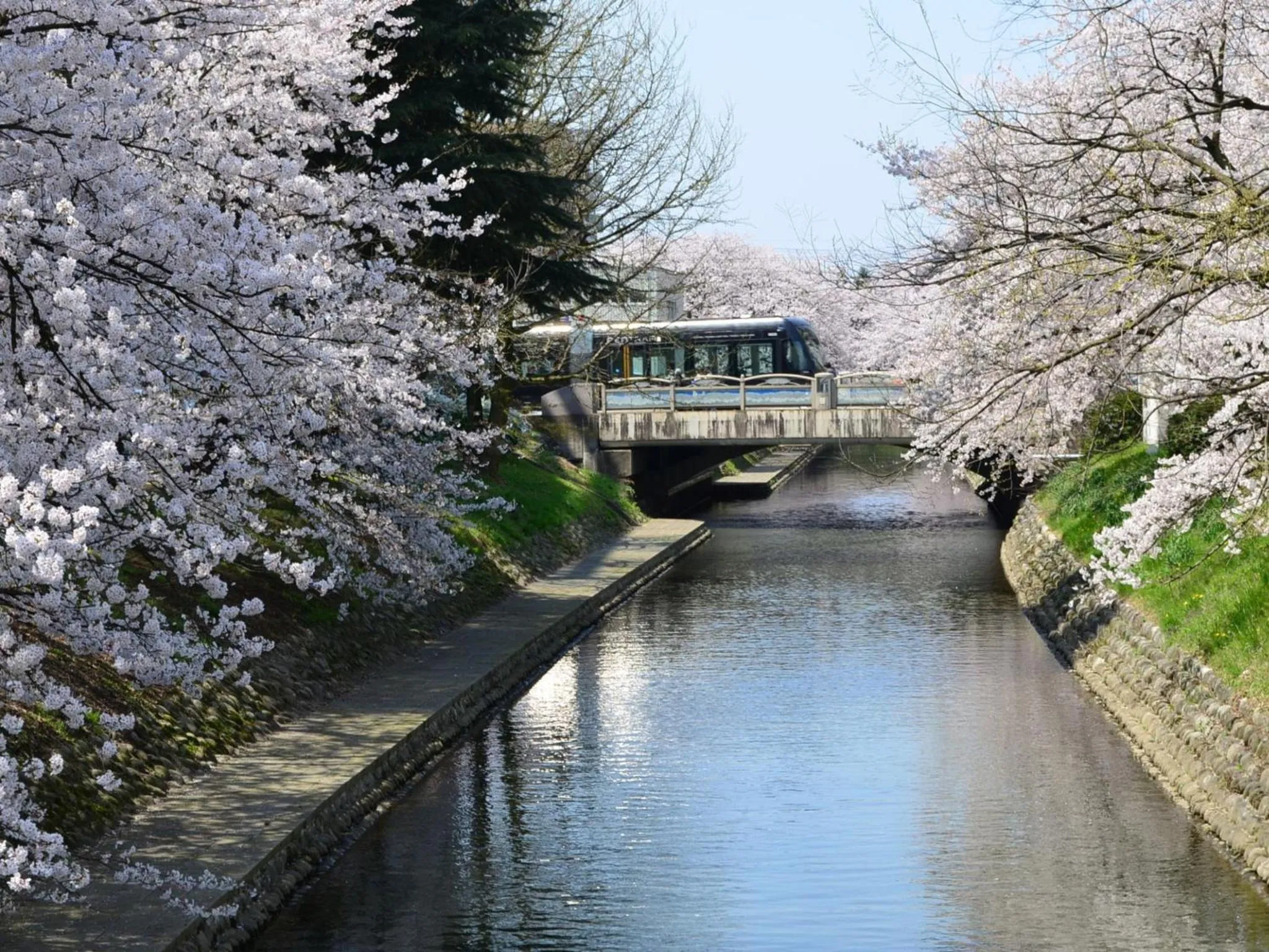 Nearby landmark in Tsurugi Koizuki