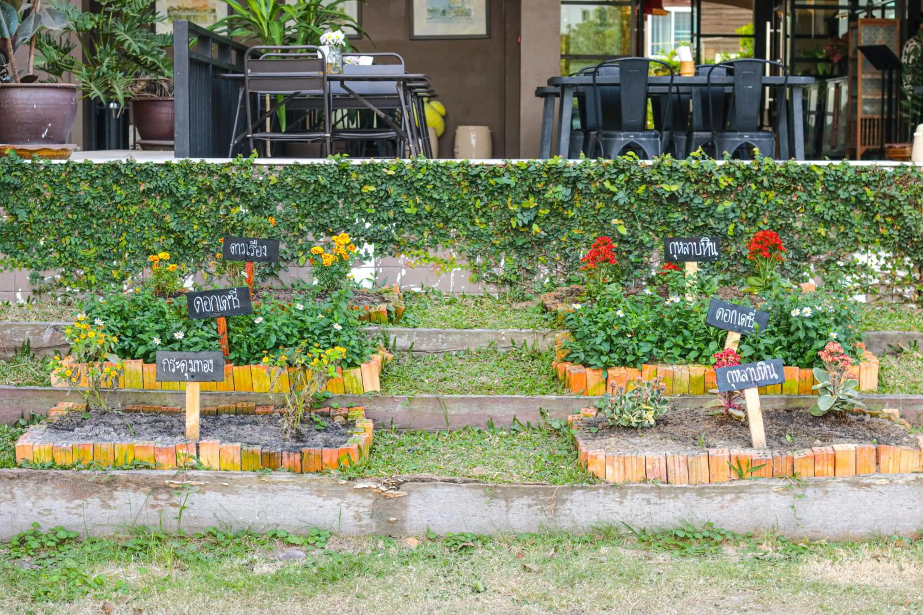 Garden in Brown House Hotel