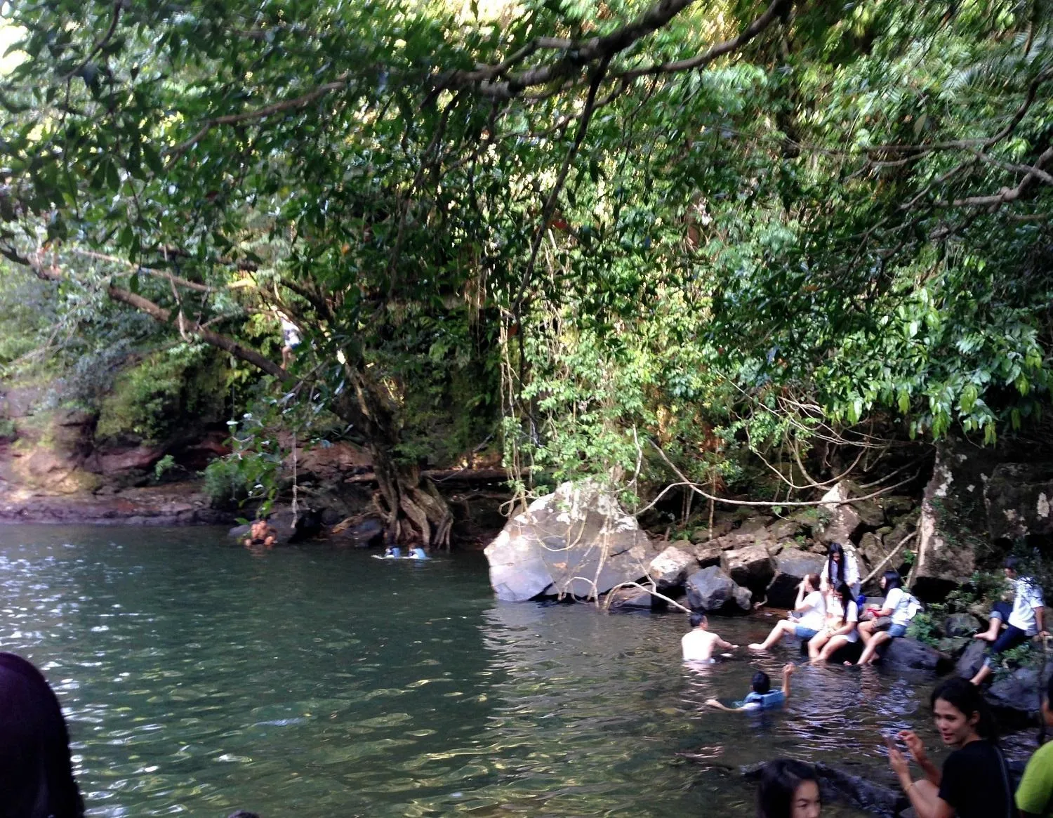 Day in Jungle Koh Kood Resort