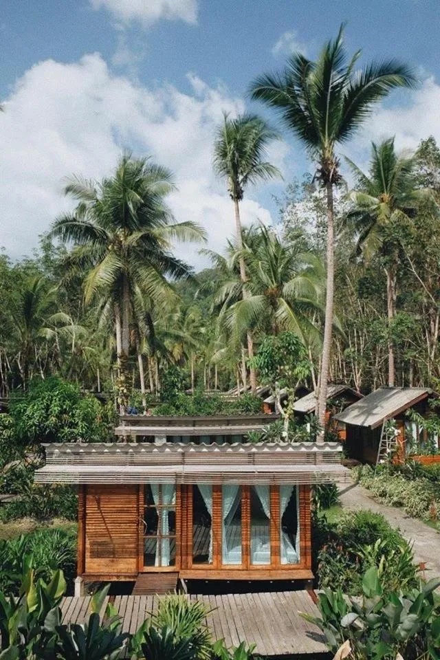 Jungle Koh Kood Resort