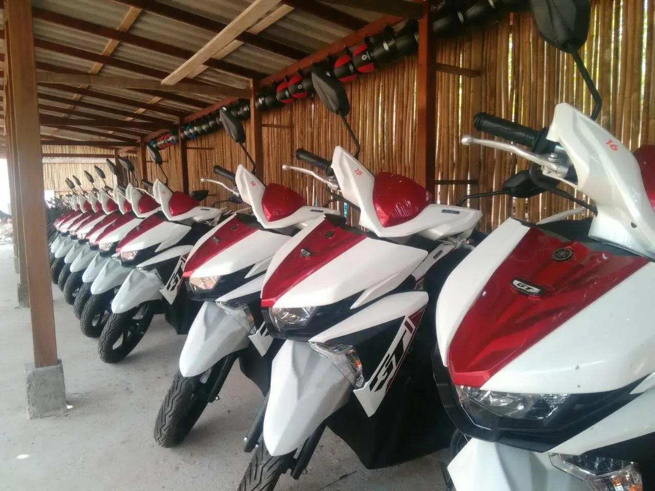 Jungle Koh Kood Resort