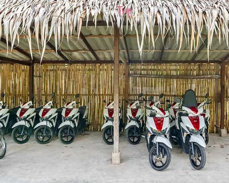 Jungle Koh Kood Resort