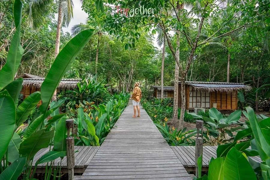 Jungle Koh Kood Resort