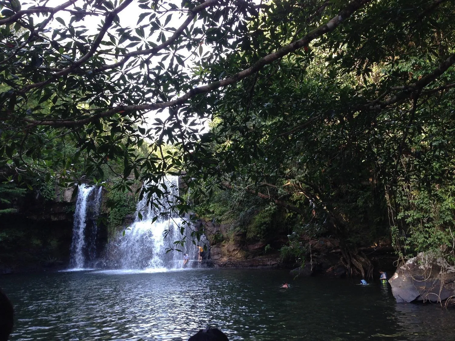 Natural landscape in Jungle Koh Kood Resort