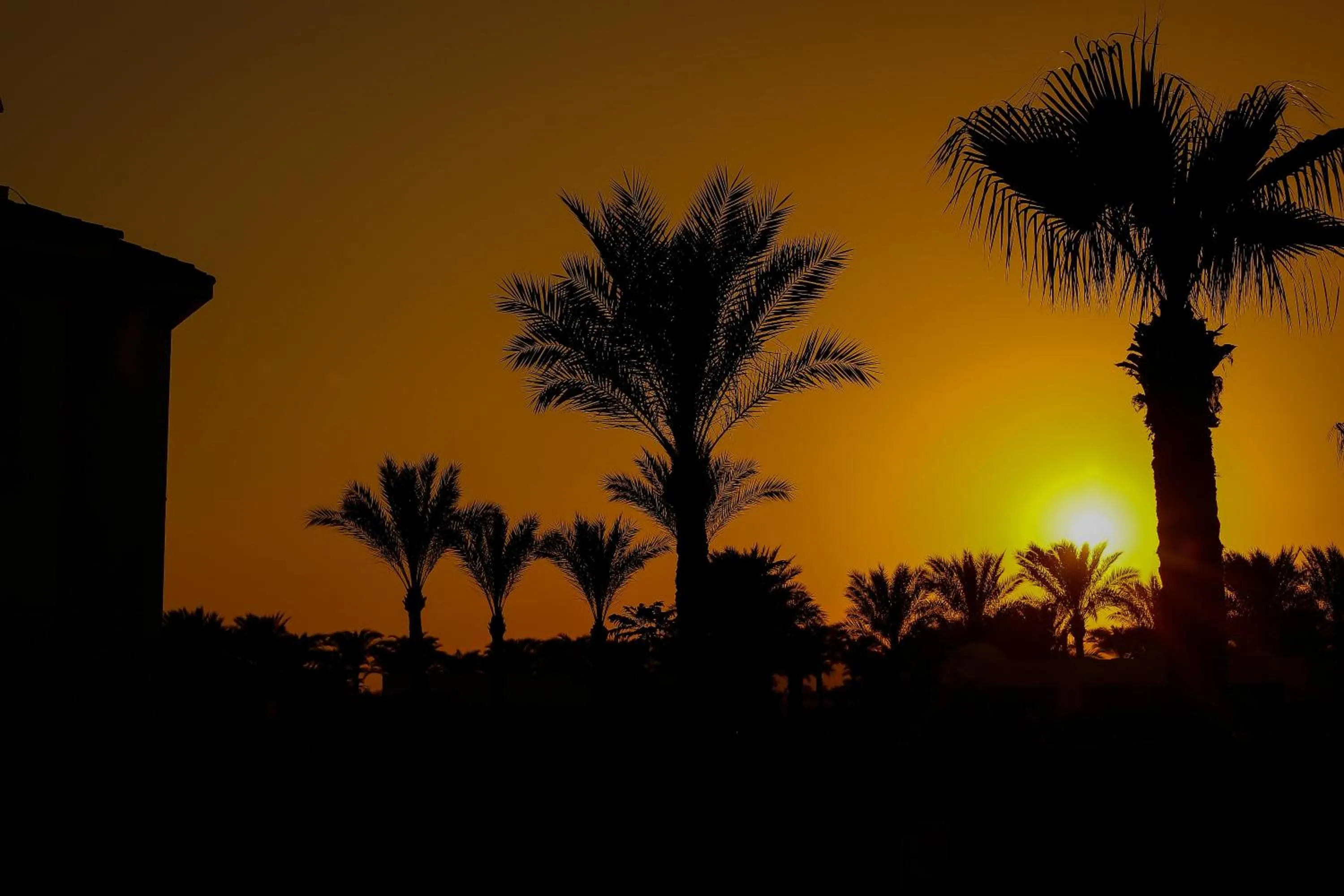 Natural landscape in JAZ Fanara Resort