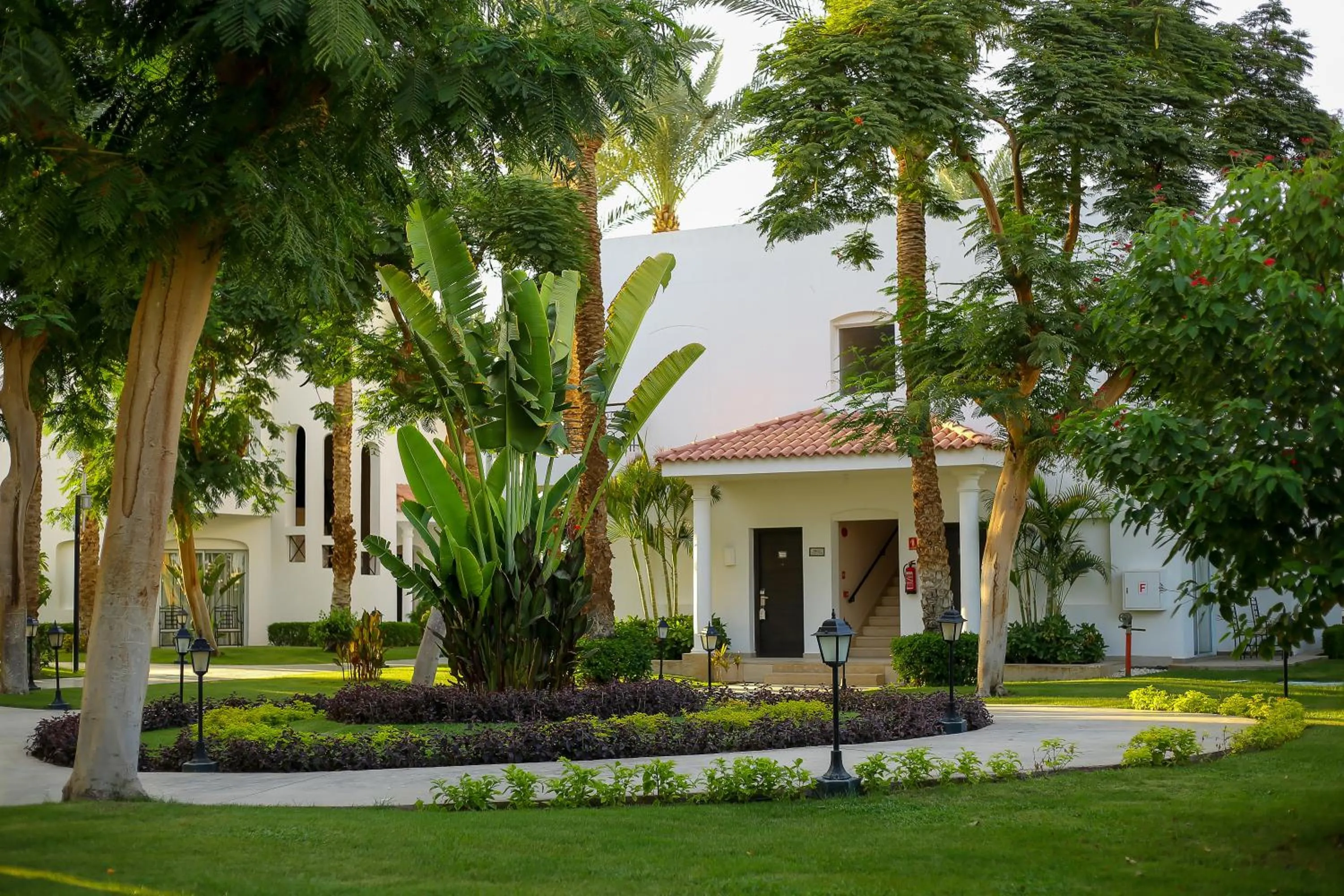 View (from property/room) in JAZ Fanara Resort