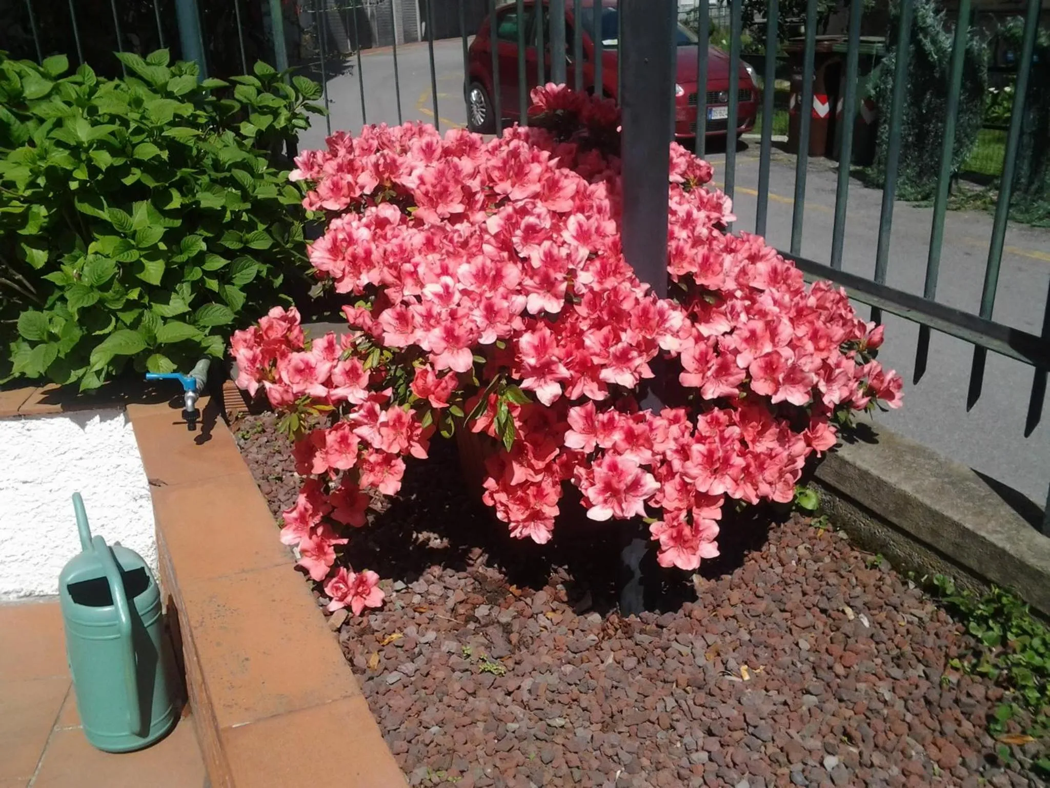 Property building in Hotel Arcobaleno