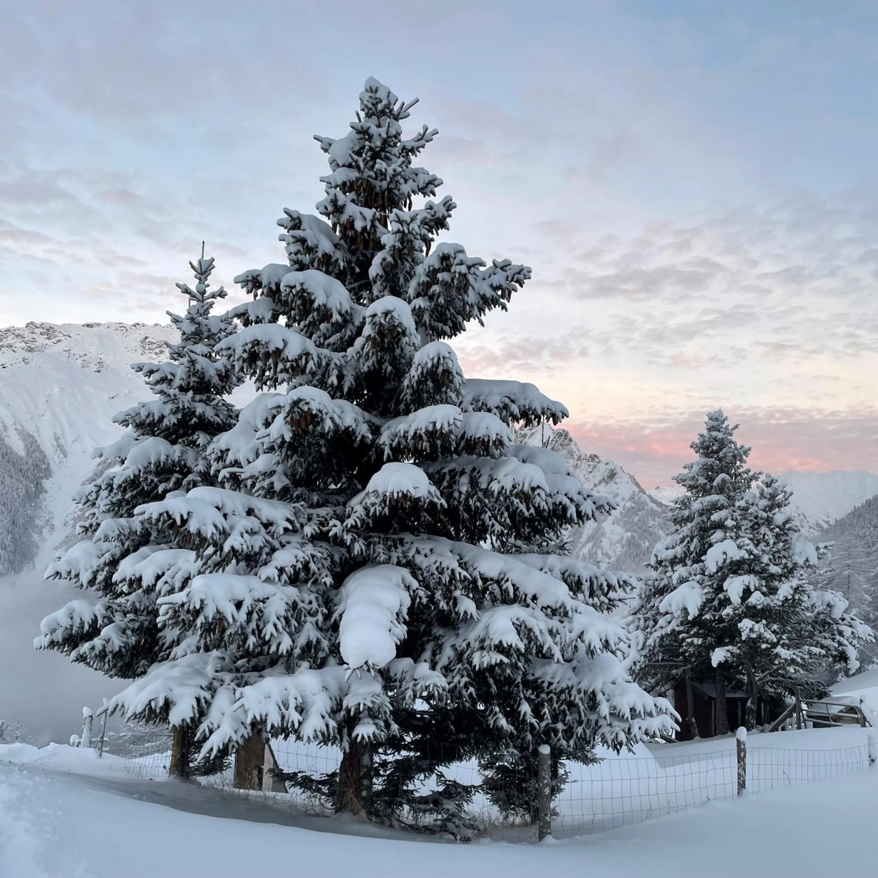 Natural landscape in Hotel Regnum Zegg
