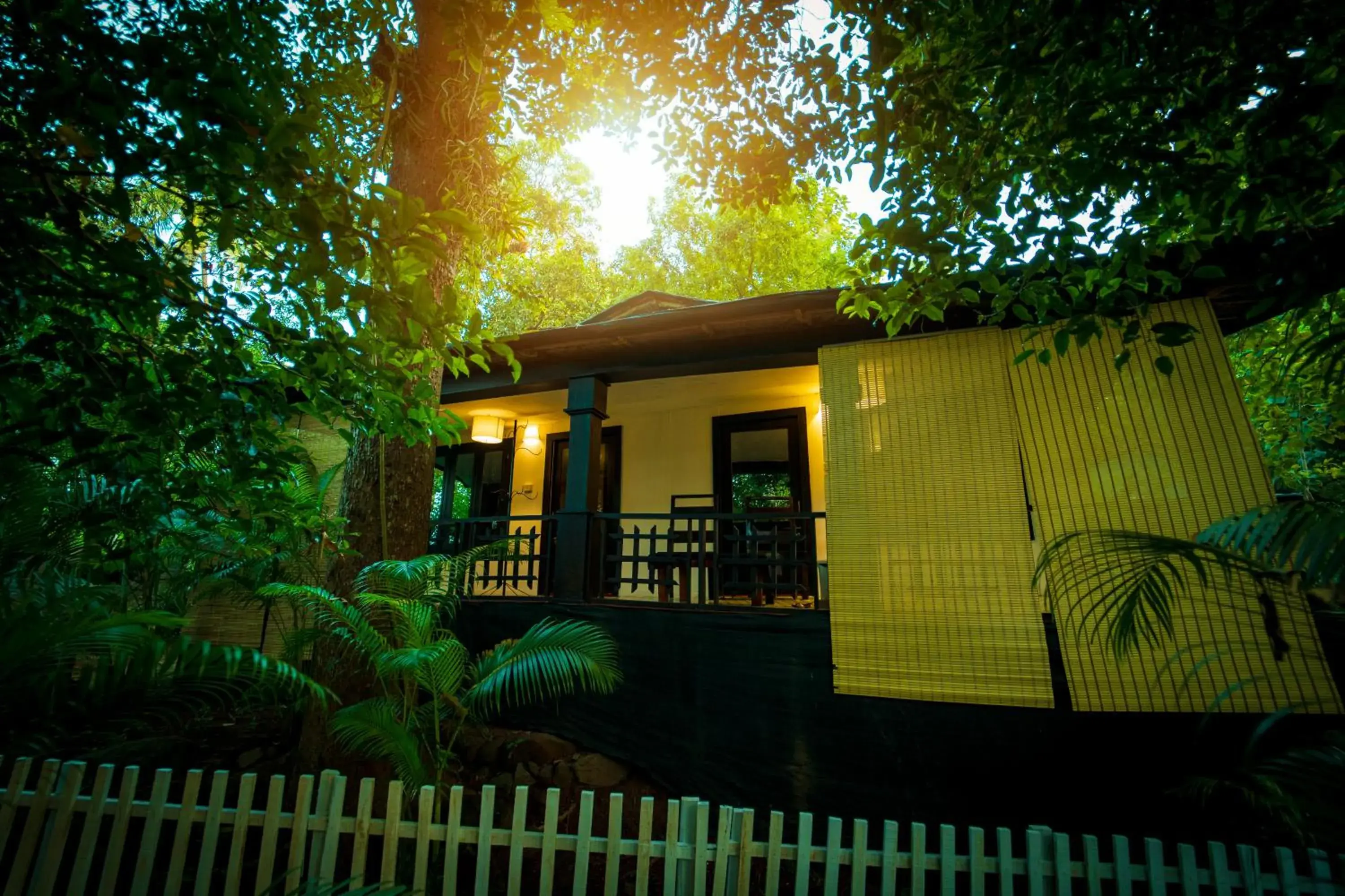 View (from property/room) in La La Land Resort Goa View (from property/room) in La La Land Resort Goa