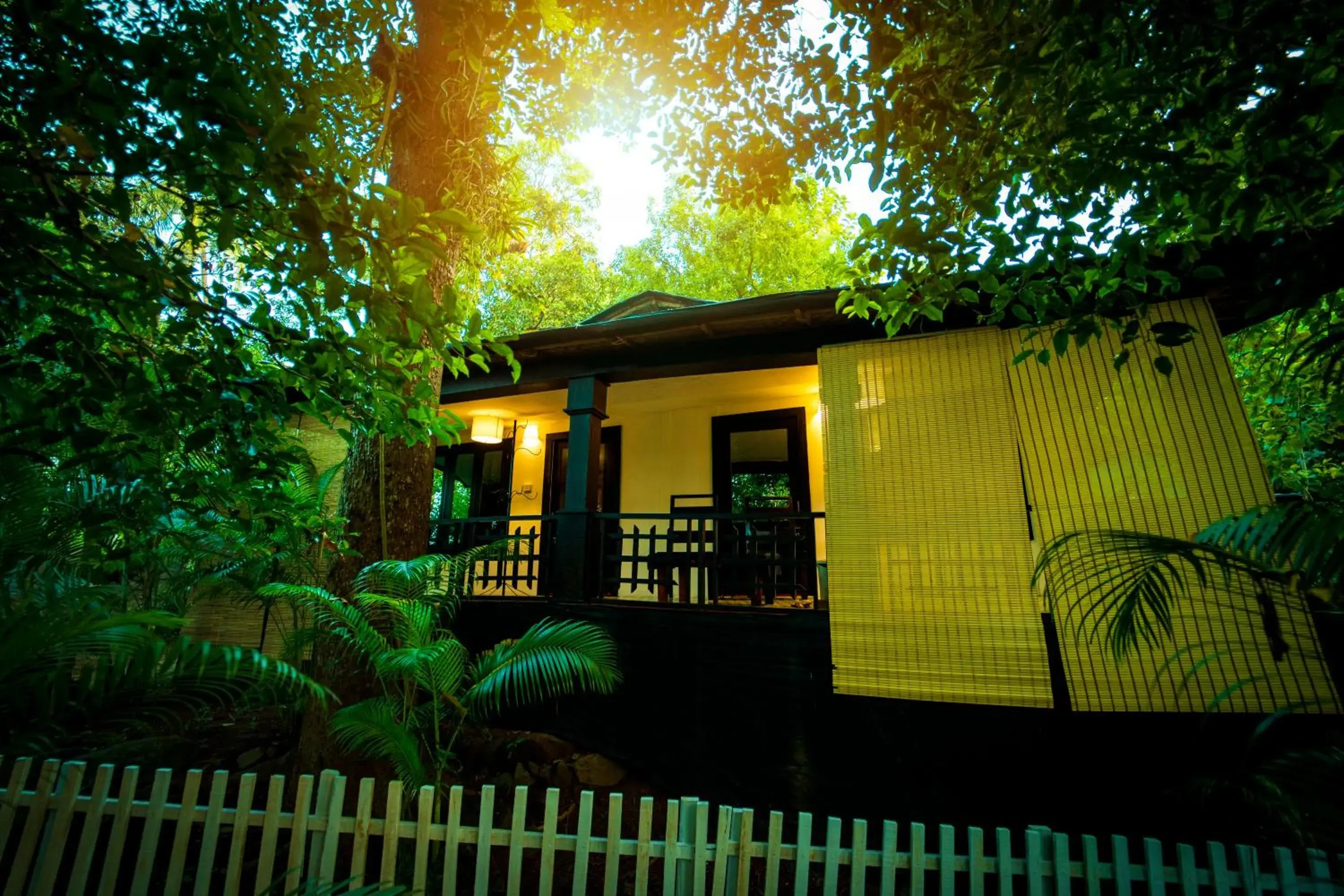 View (from property/room) in La La Land Resort Goa View (from property/room) in La La Land Resort Goa