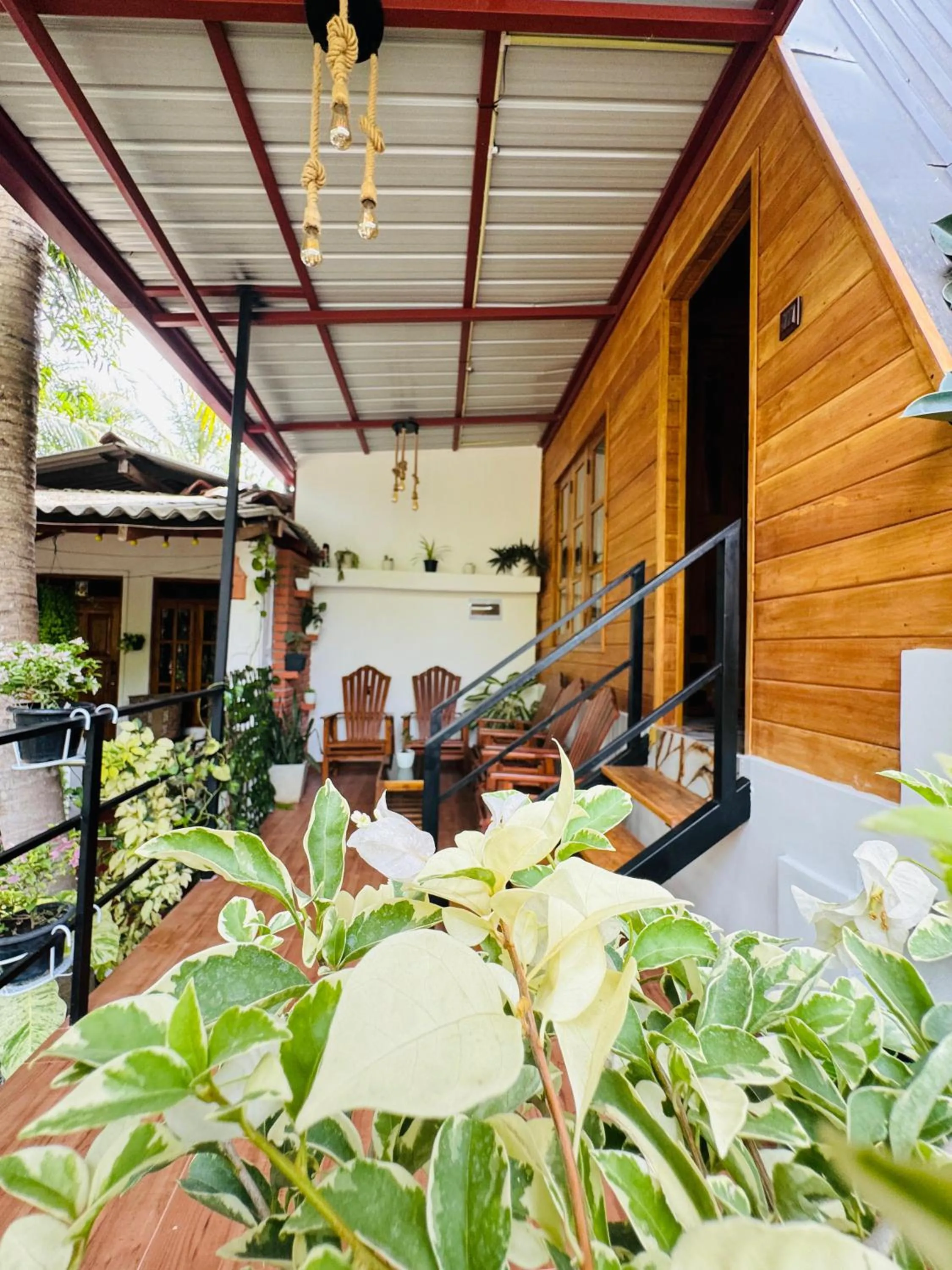 Garden in Sigiri Tarushan Home Stay