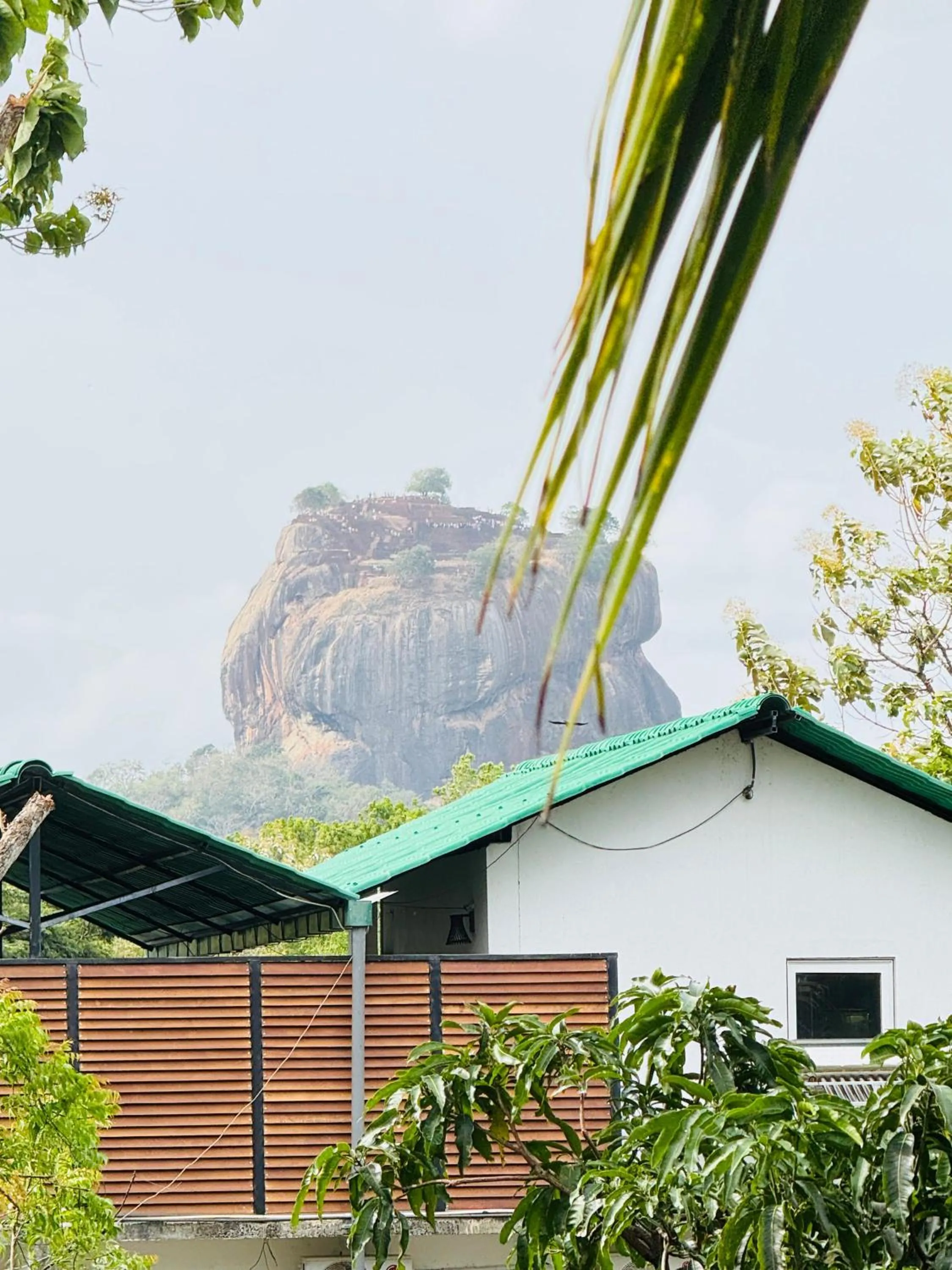 Balcony/Terrace in Sigiri Tarushan Home Stay