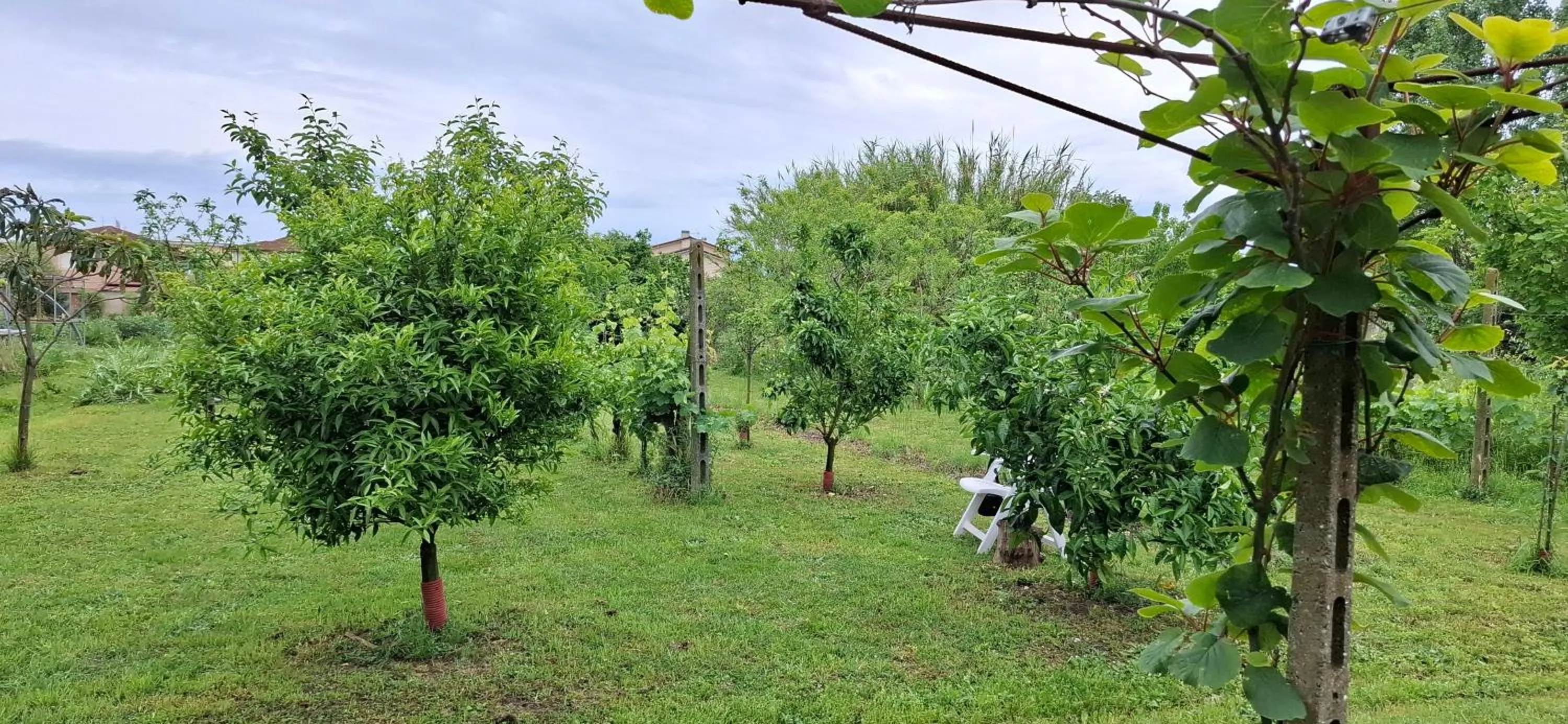 Garden in Al Cortile Tranquillo