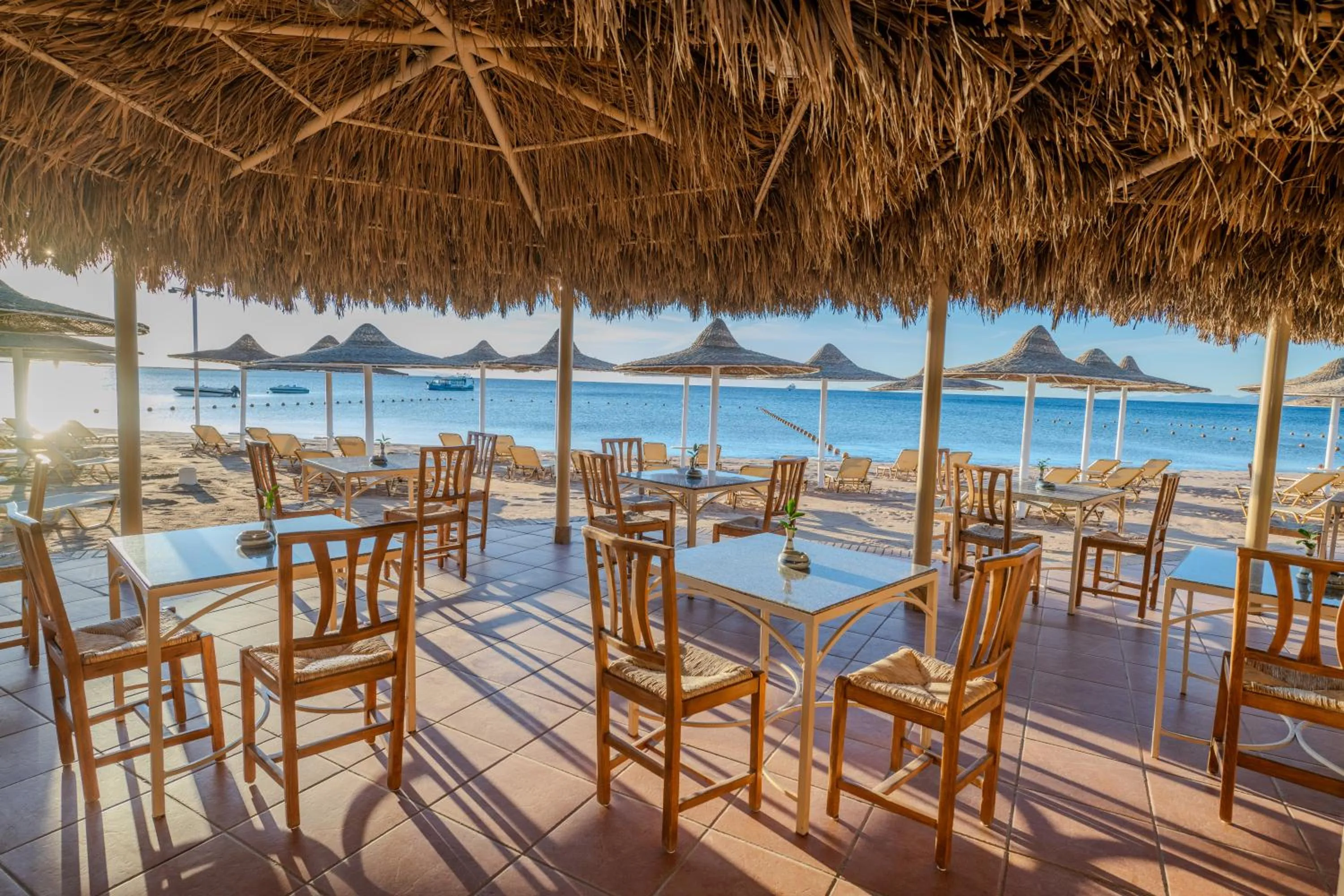 Restaurant/places to eat in JAZ Dahabeya