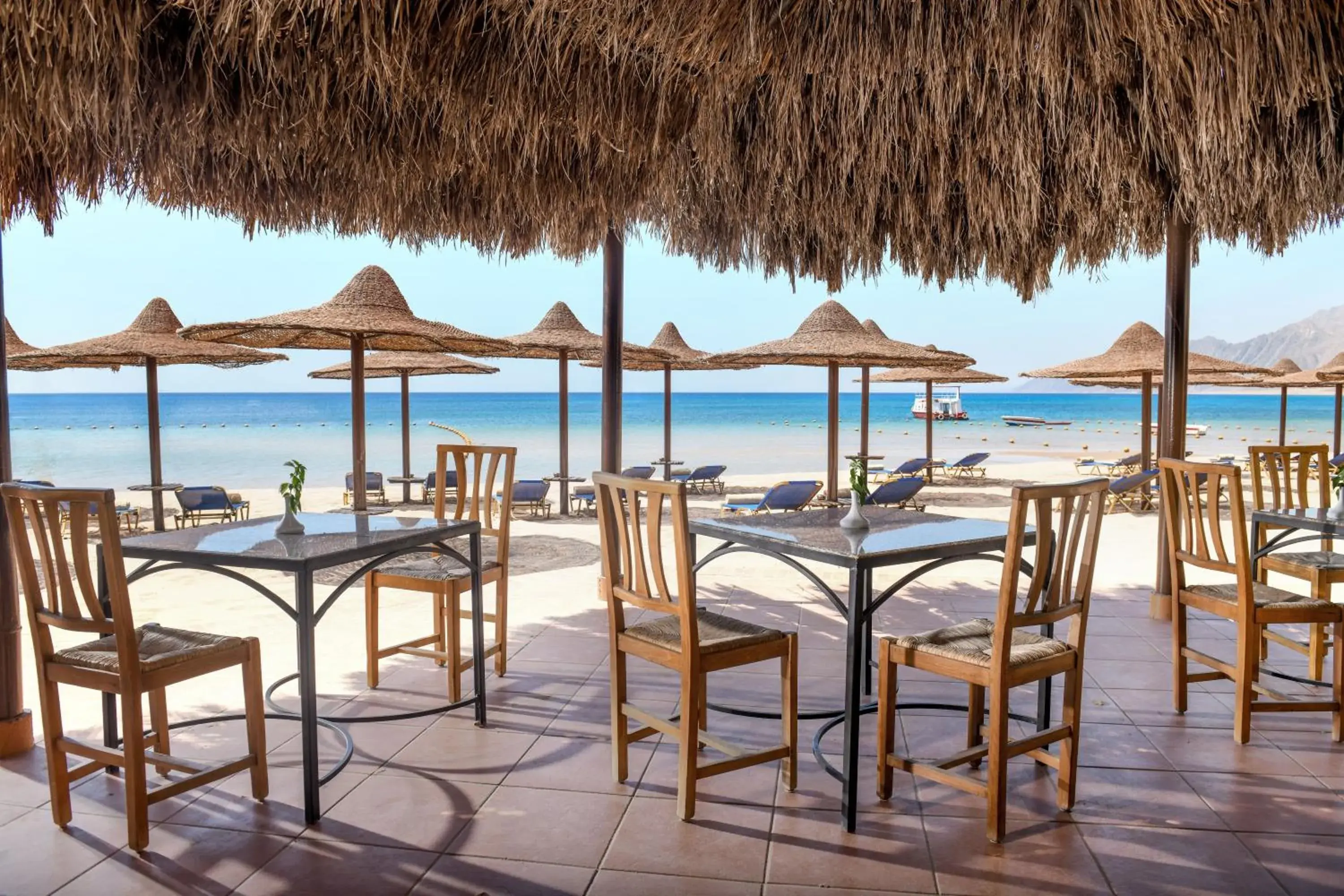 Restaurant/places to eat in JAZ Dahabeya Restaurant/places to eat in JAZ Dahabeya