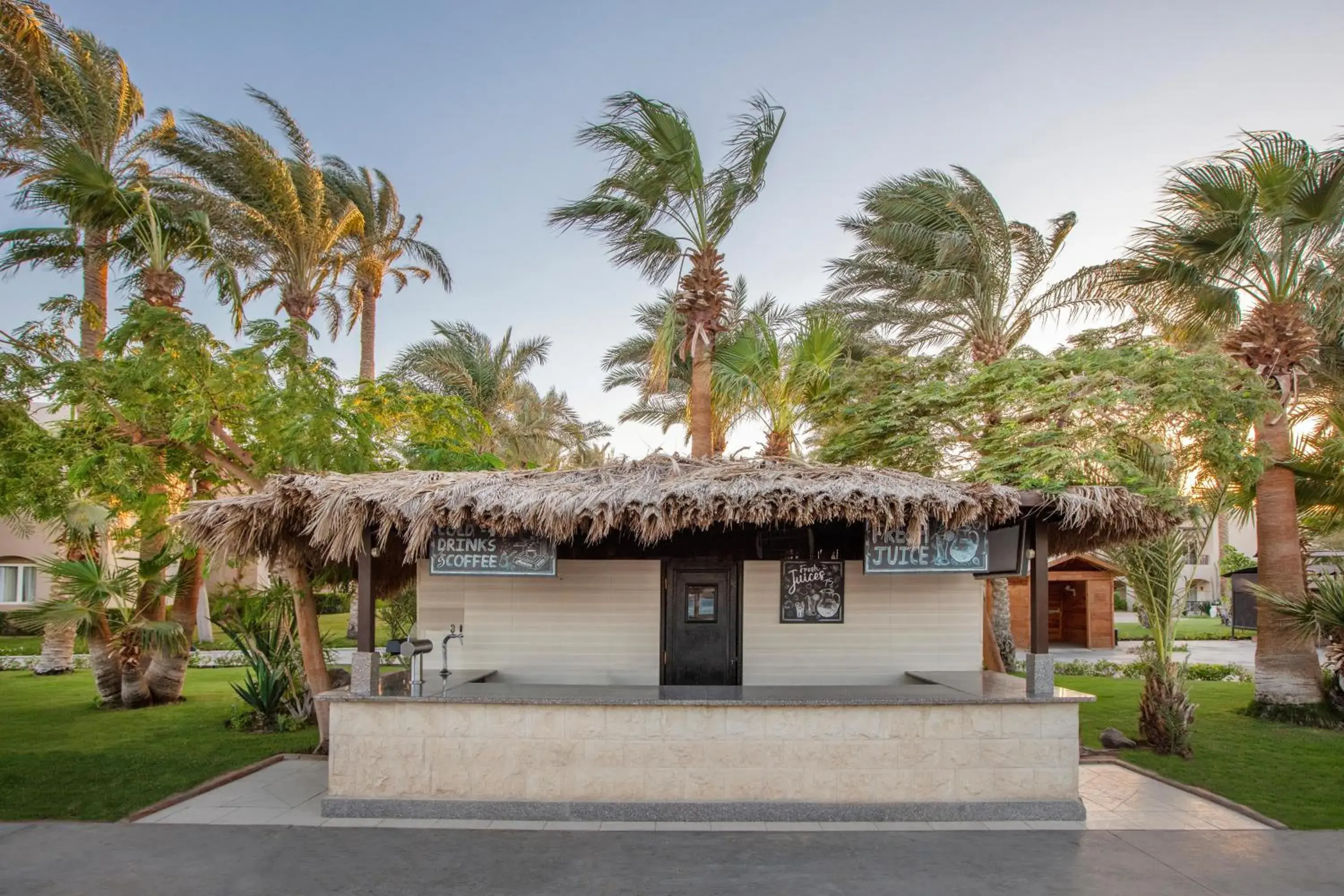 Lounge or bar in JAZ Makadi Oasis Resort Lounge or bar in JAZ Makadi Oasis Resort