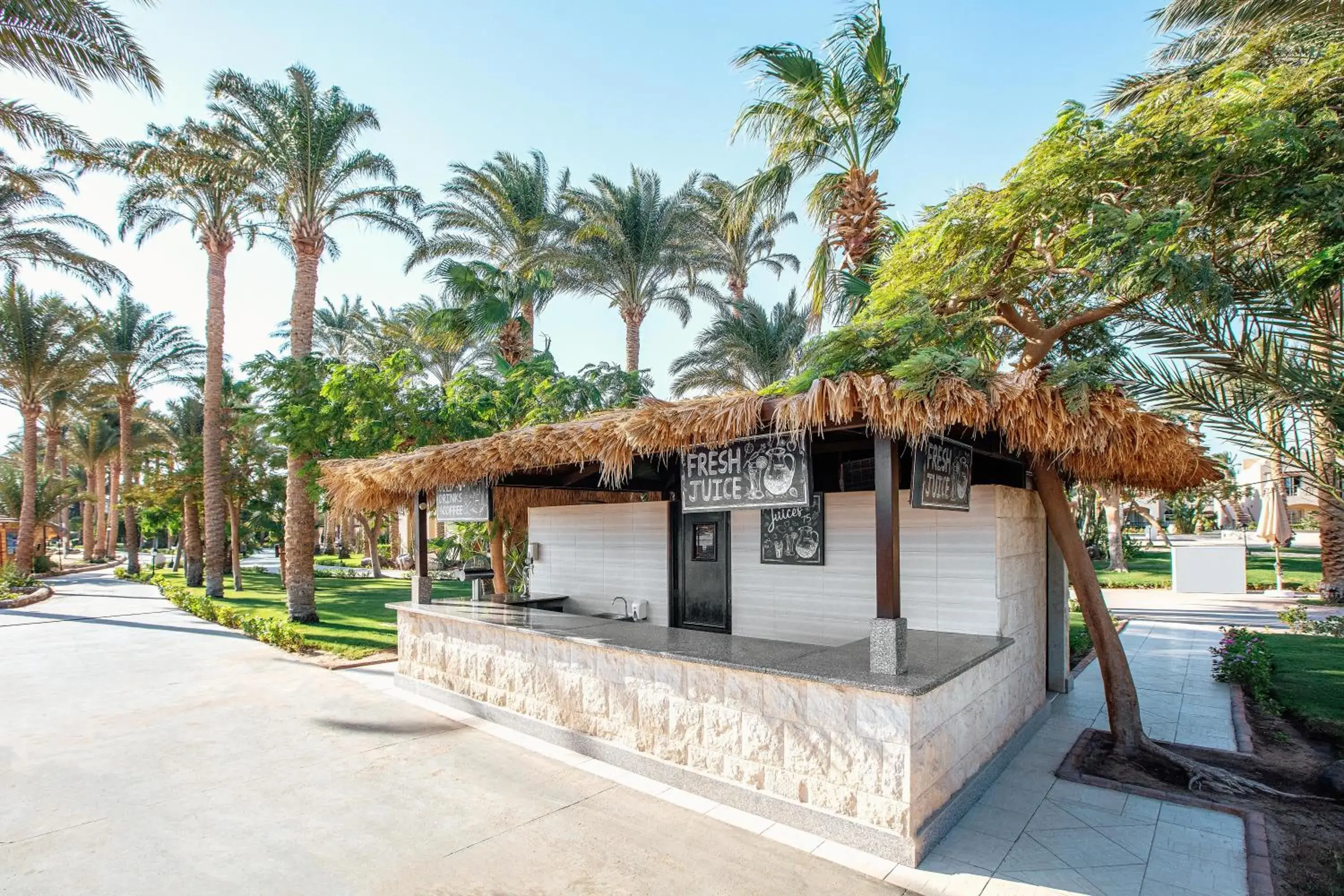 Lounge or bar in JAZ Makadi Oasis Resort Lounge or bar in JAZ Makadi Oasis Resort