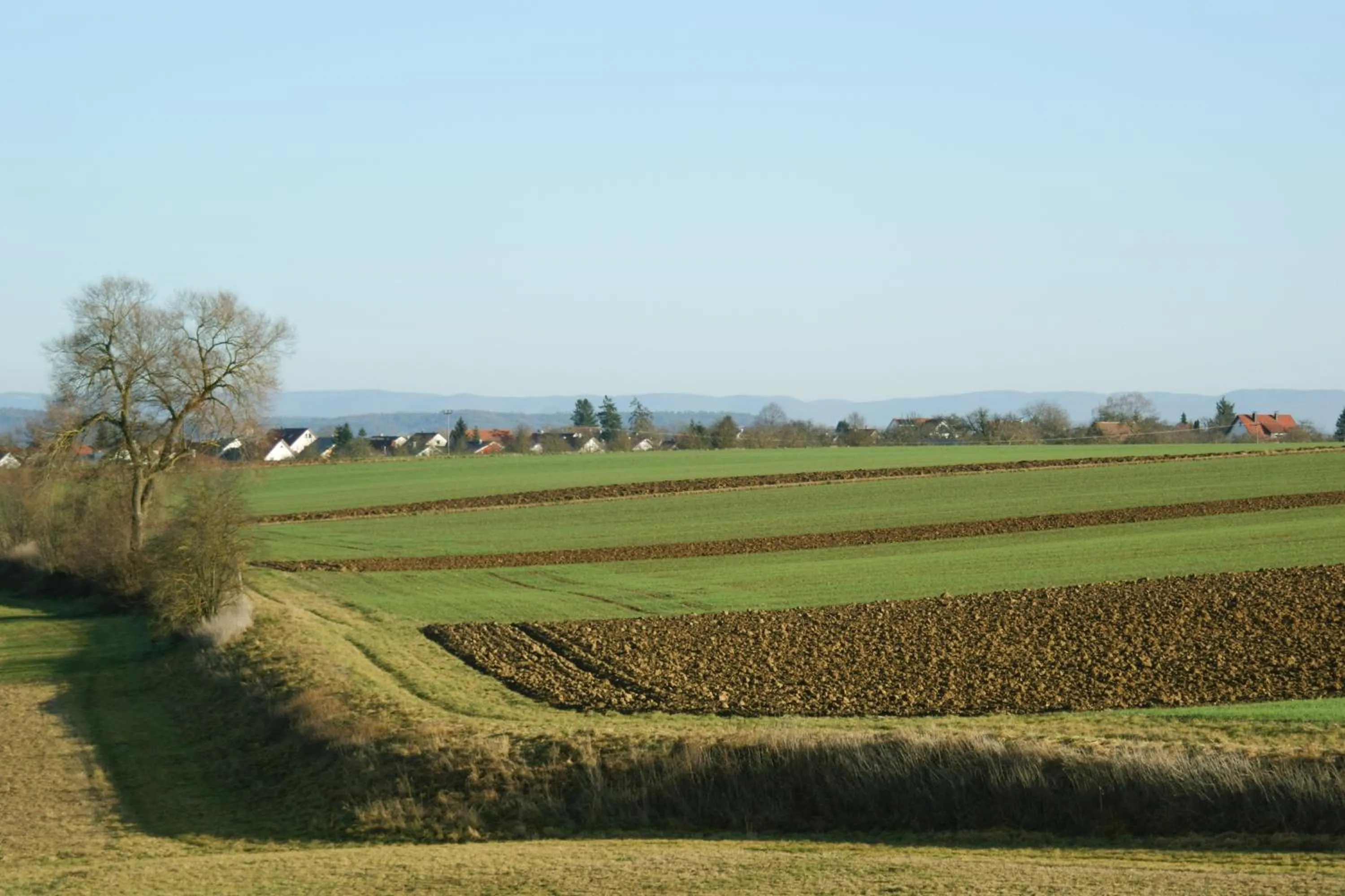 Natural landscape in Businessapart Stuttgart