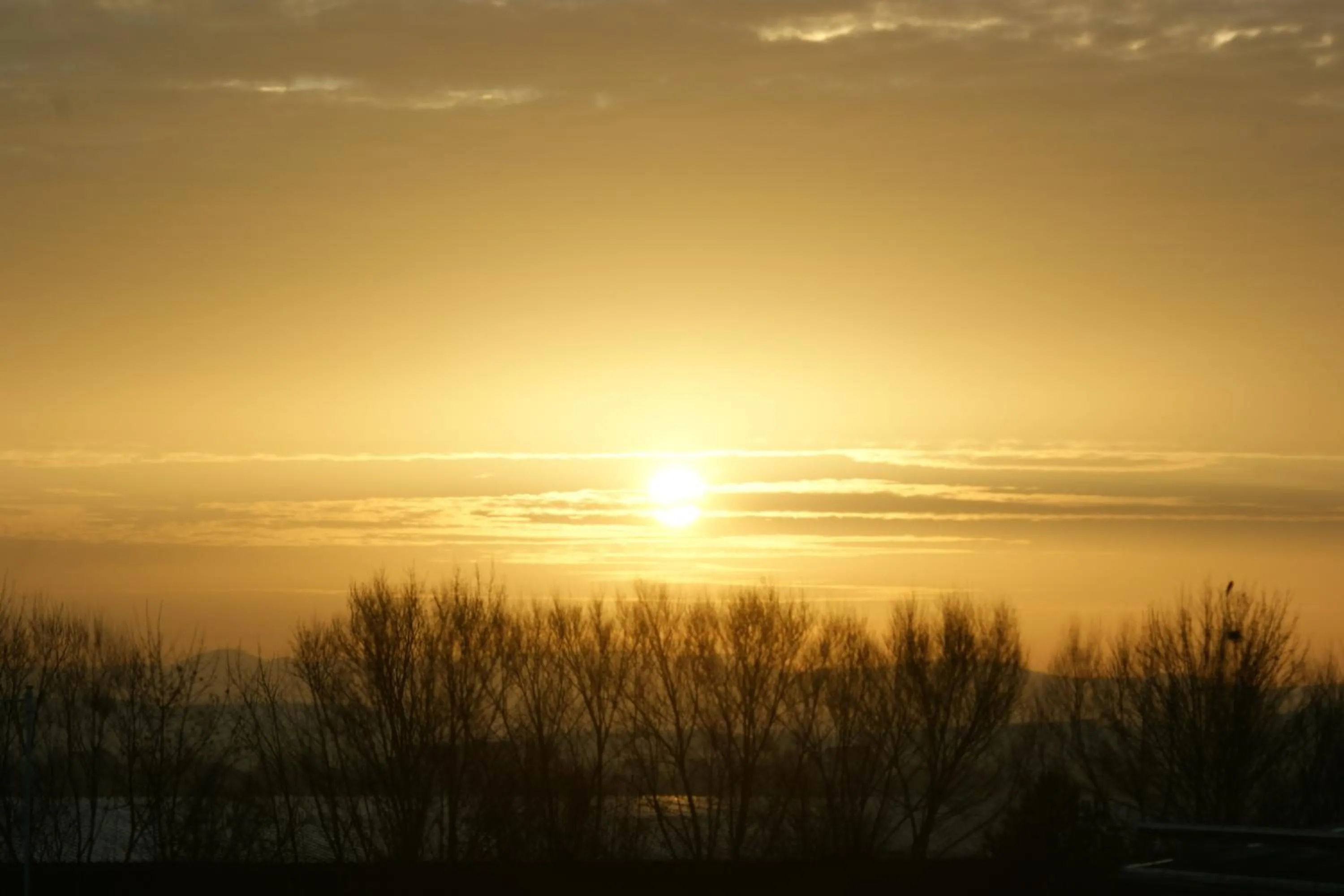 Natural landscape in Businessapart Stuttgart