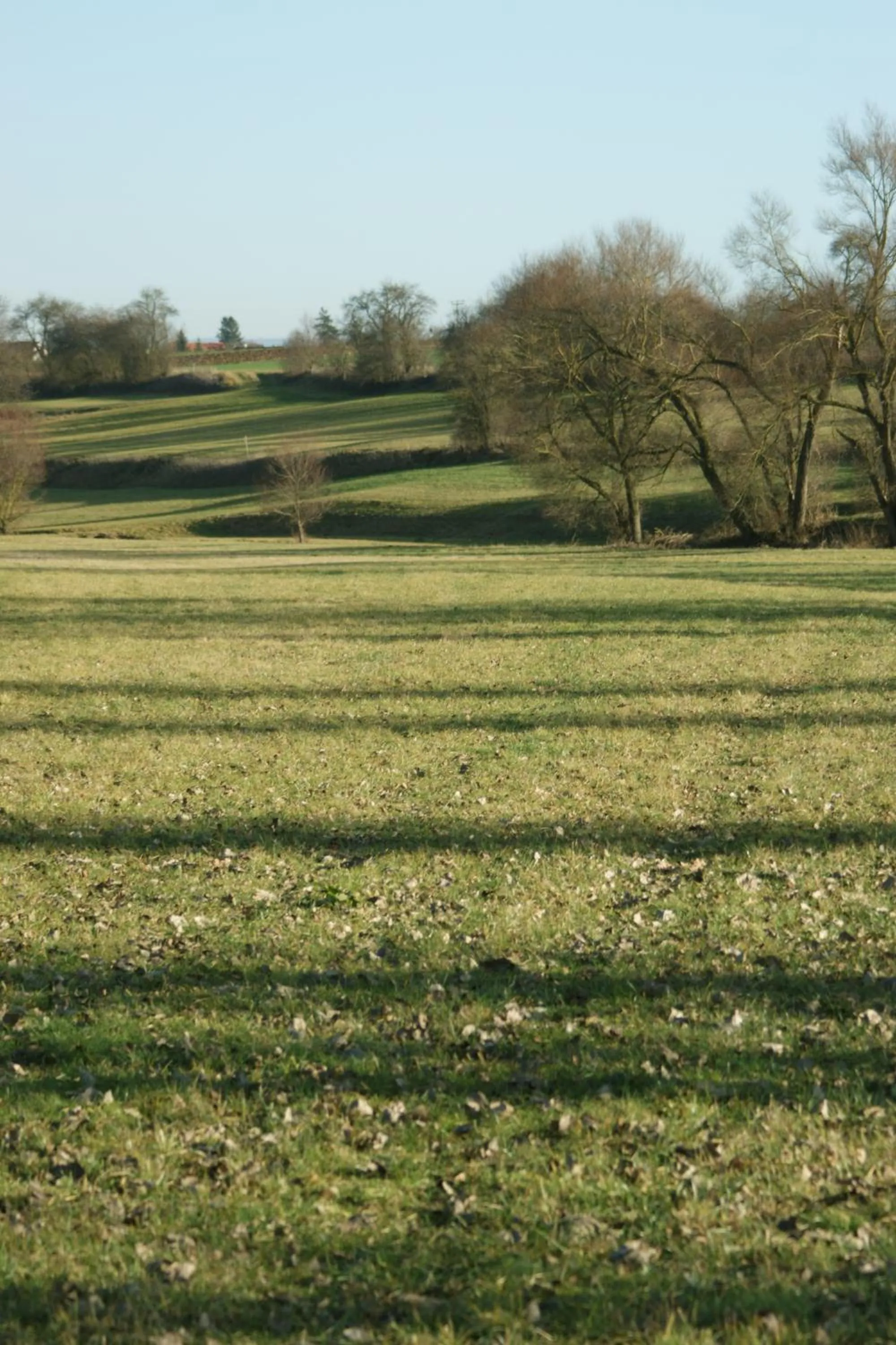 Natural landscape in Businessapart Stuttgart