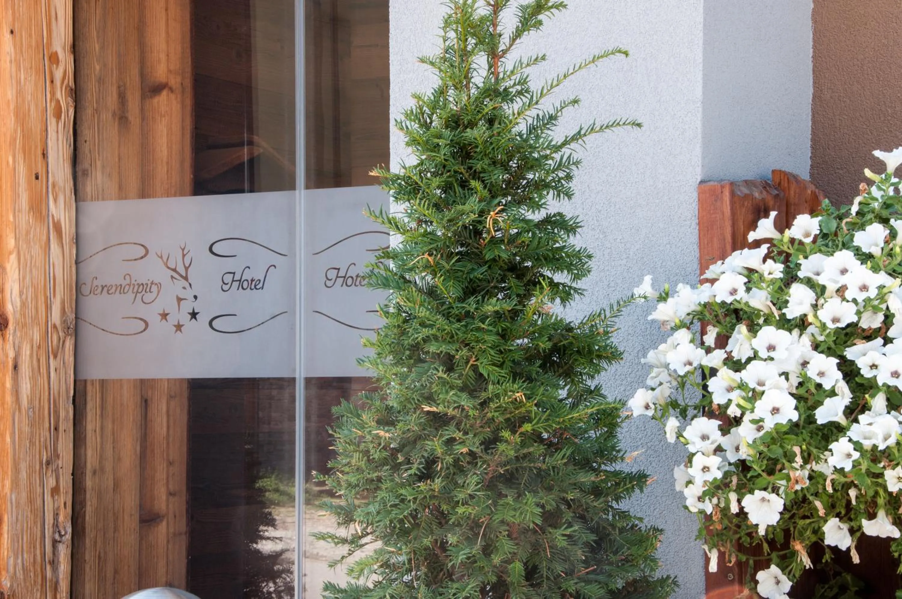 Day in Serendipity Hotel