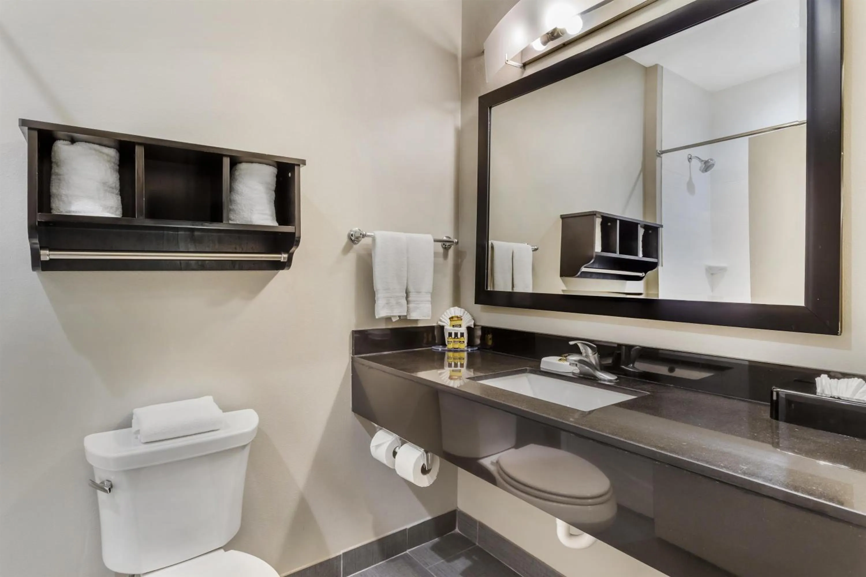 Toilet in Best Western Plus Laredo Inn & Suites