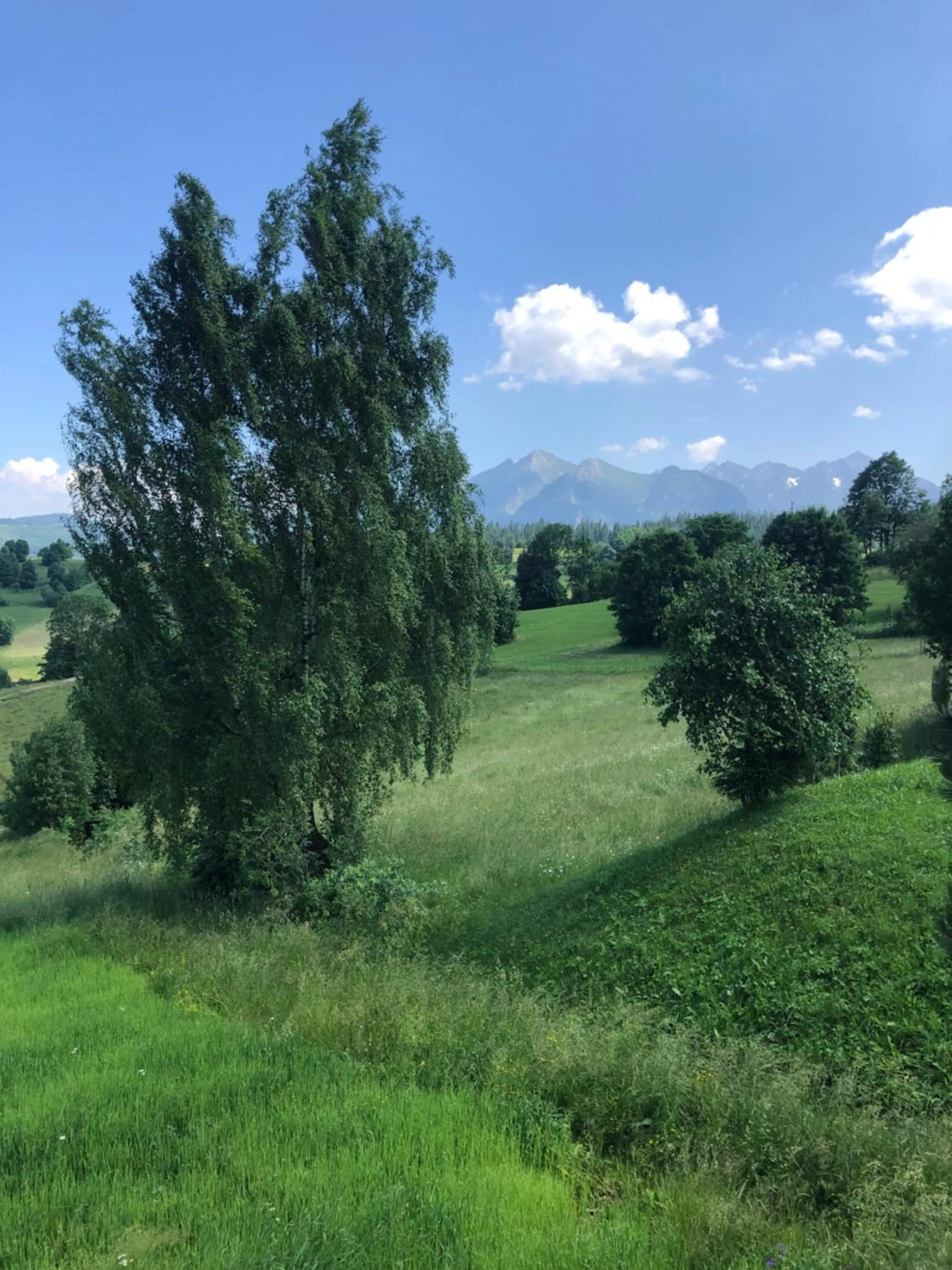 Natural landscape in Siumno Izba B&B Brzegi