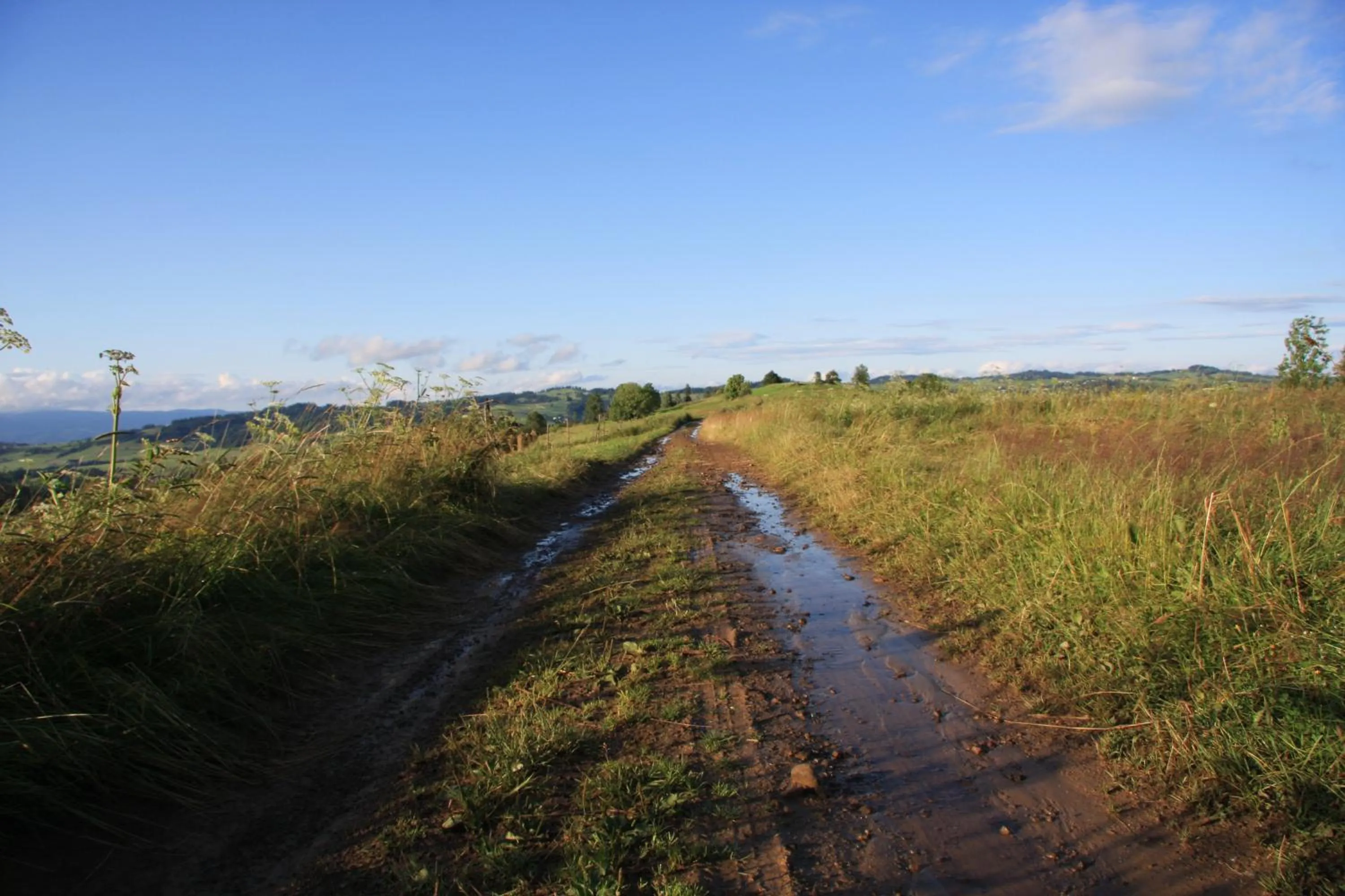Natural landscape in Siumno Izba B&B Brzegi