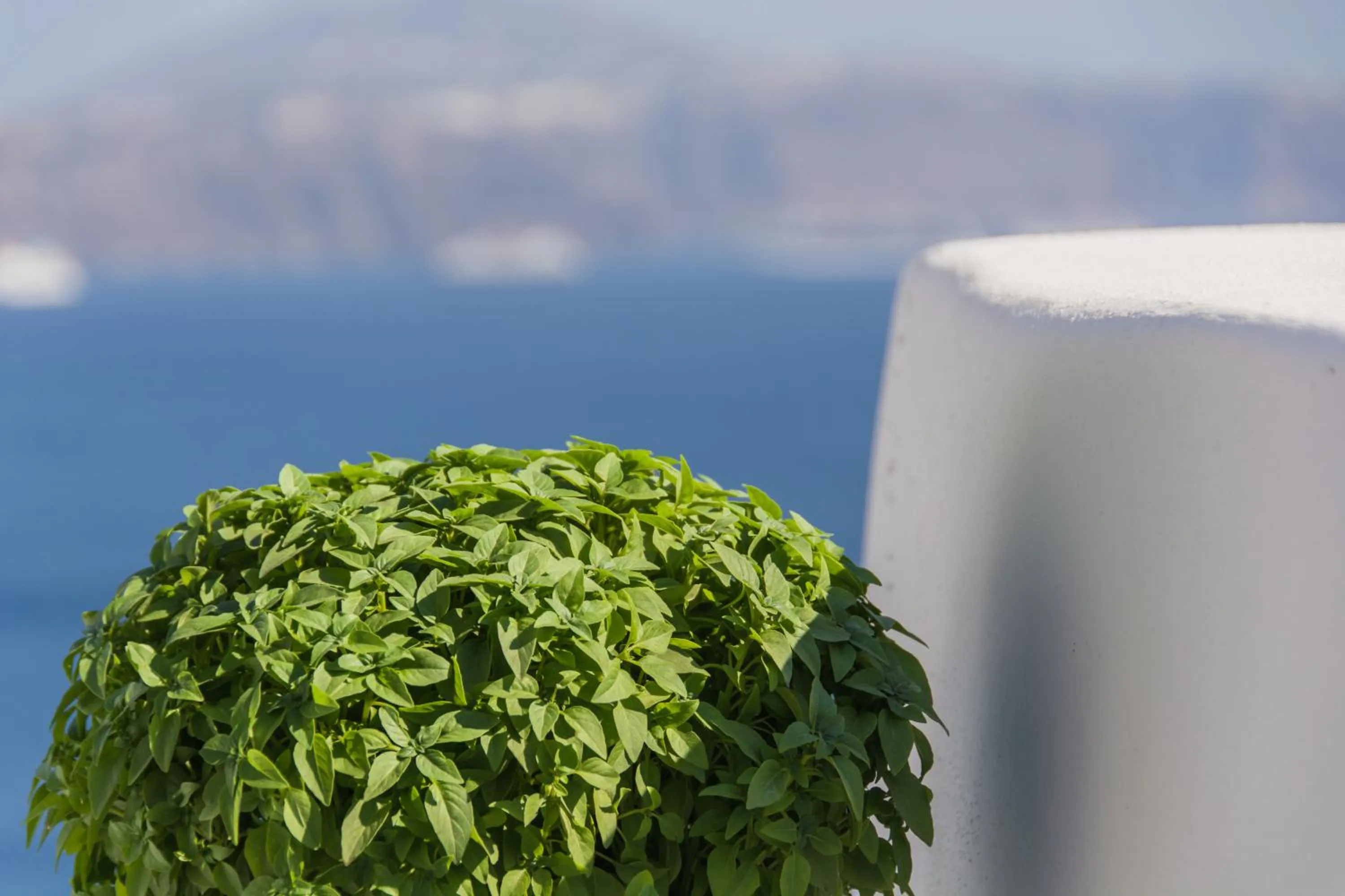 Decorative detail in Pina Caldera Residence