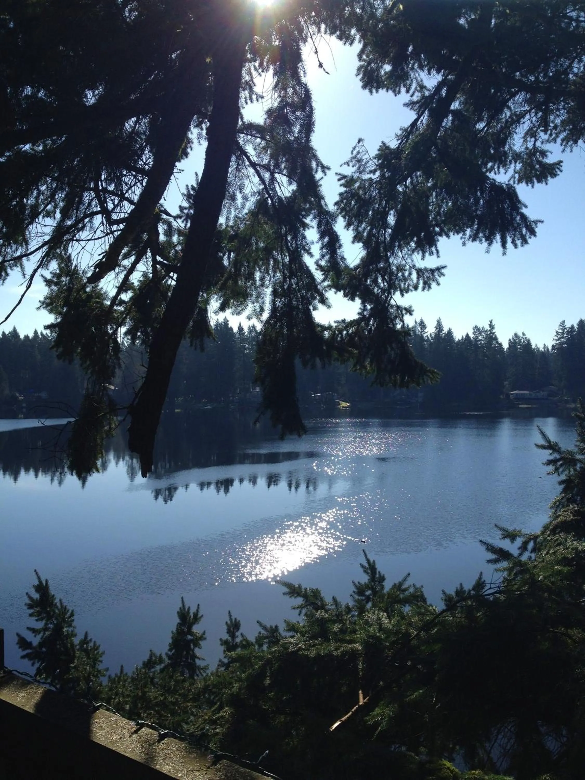 Lake view in Cottage Lake Bed and Breakfast