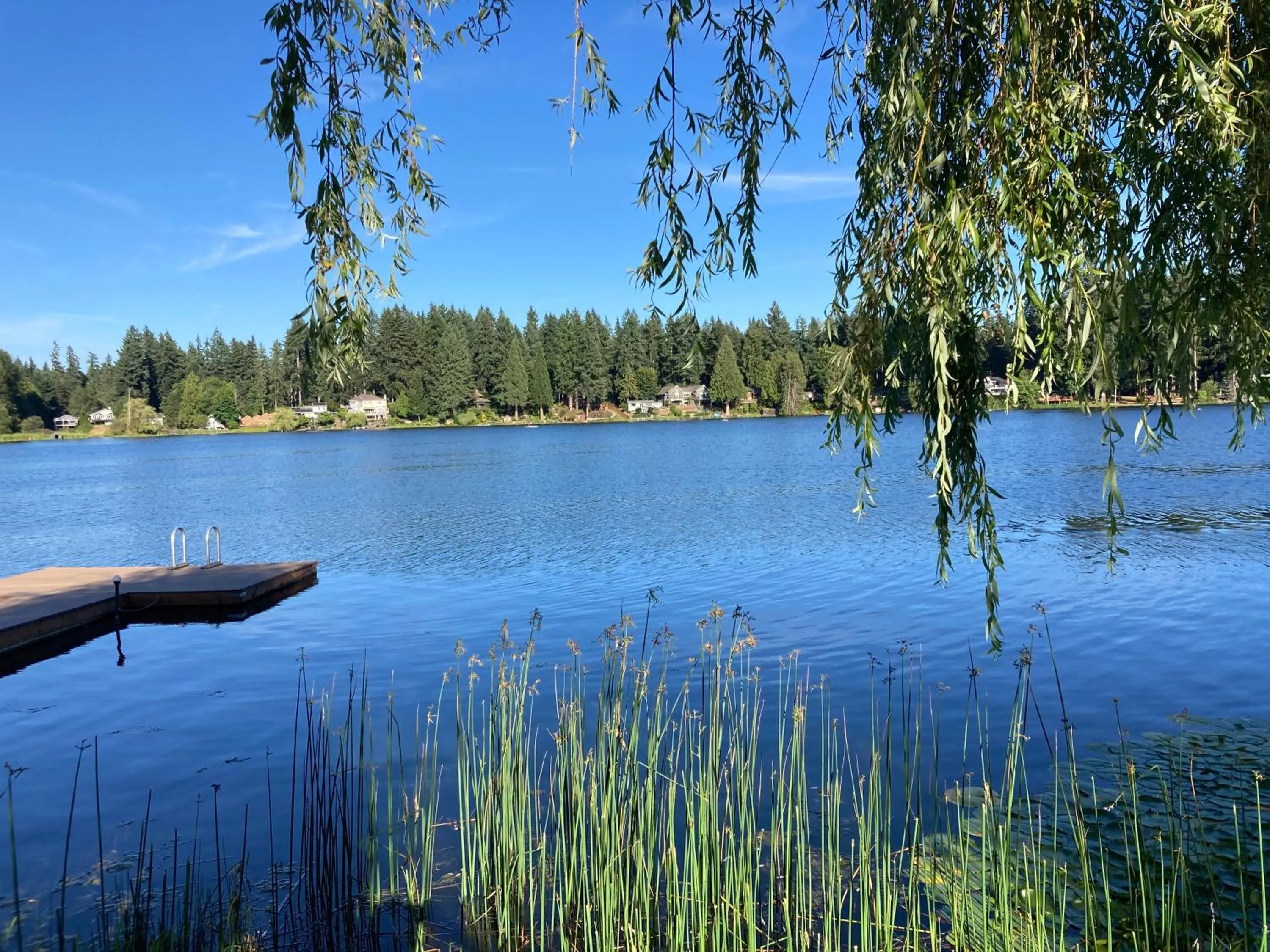 Lake view in Cottage Lake Bed and Breakfast