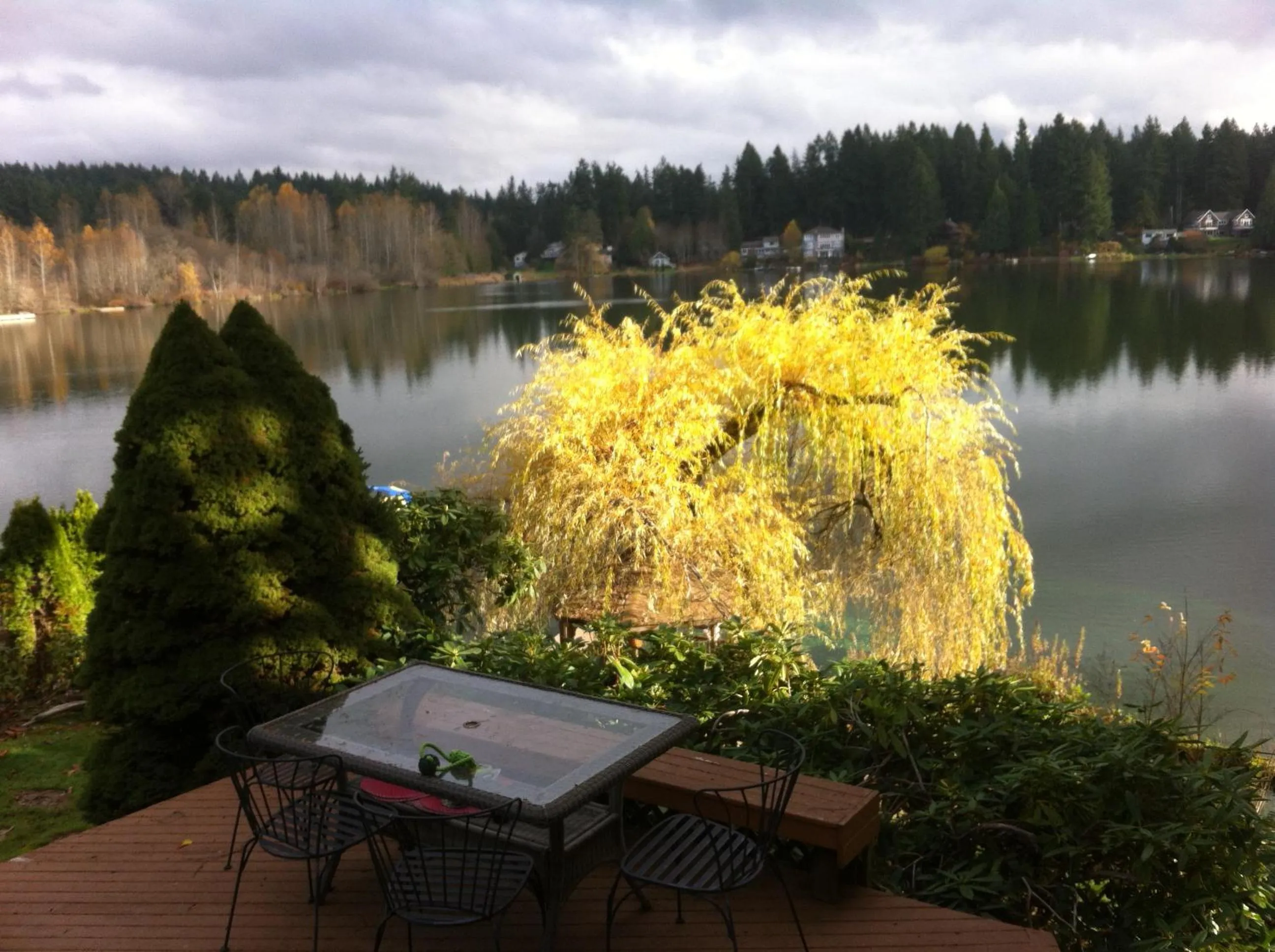 Patio in Cottage Lake Bed and Breakfast