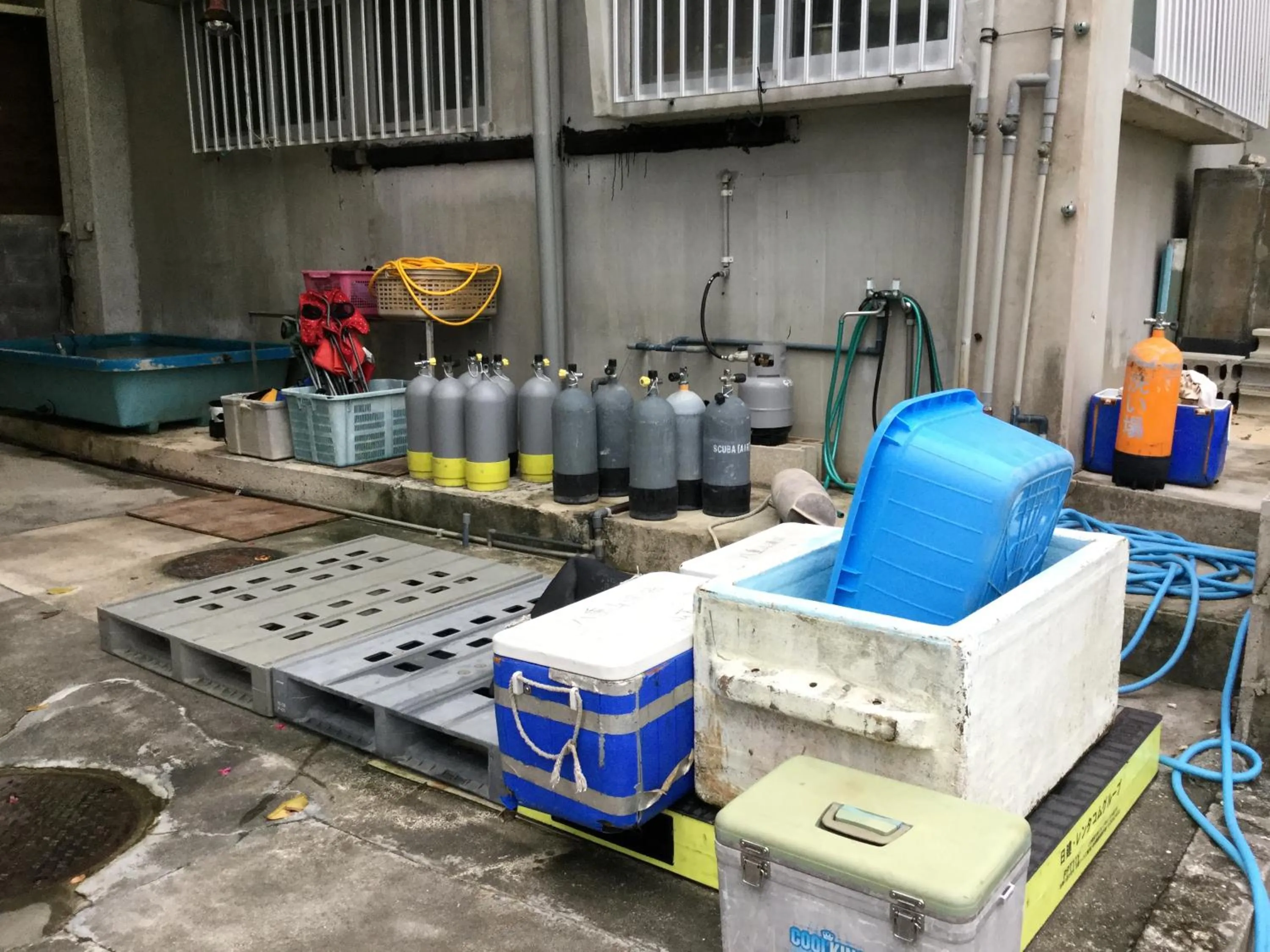 Activities in Uminoie Painukaji