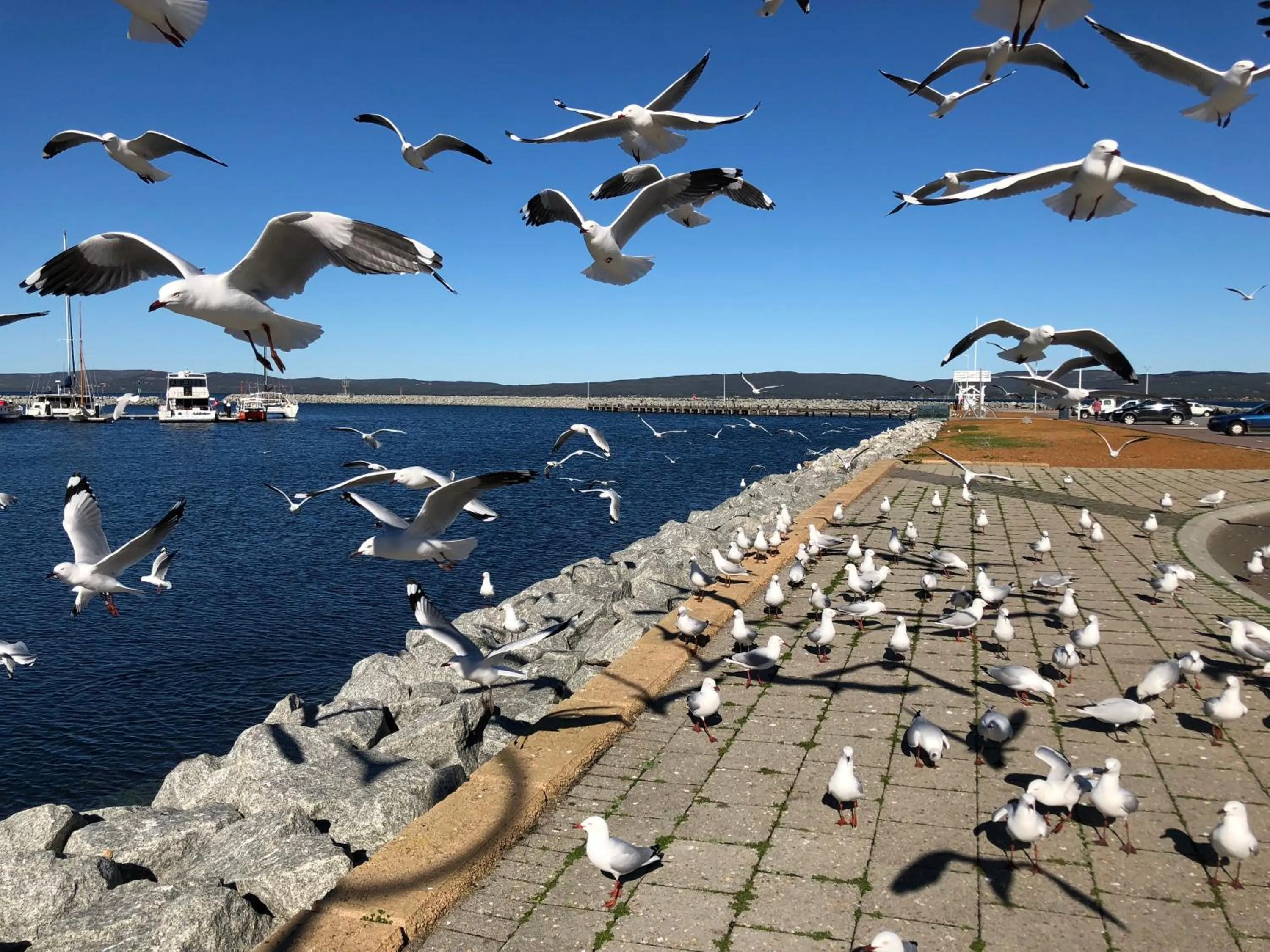 Albany Foreshore Guest House