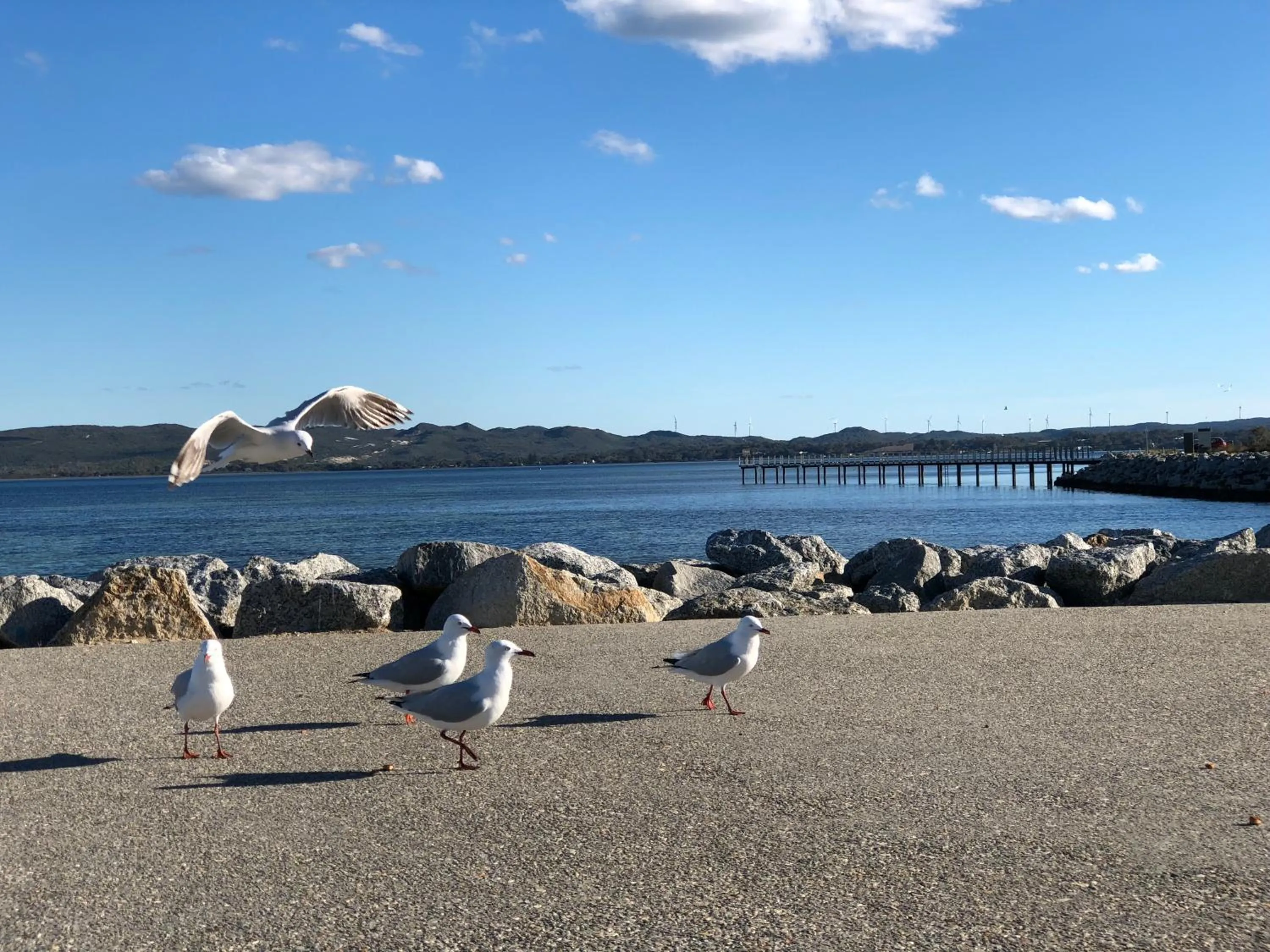 Albany Foreshore Guest House