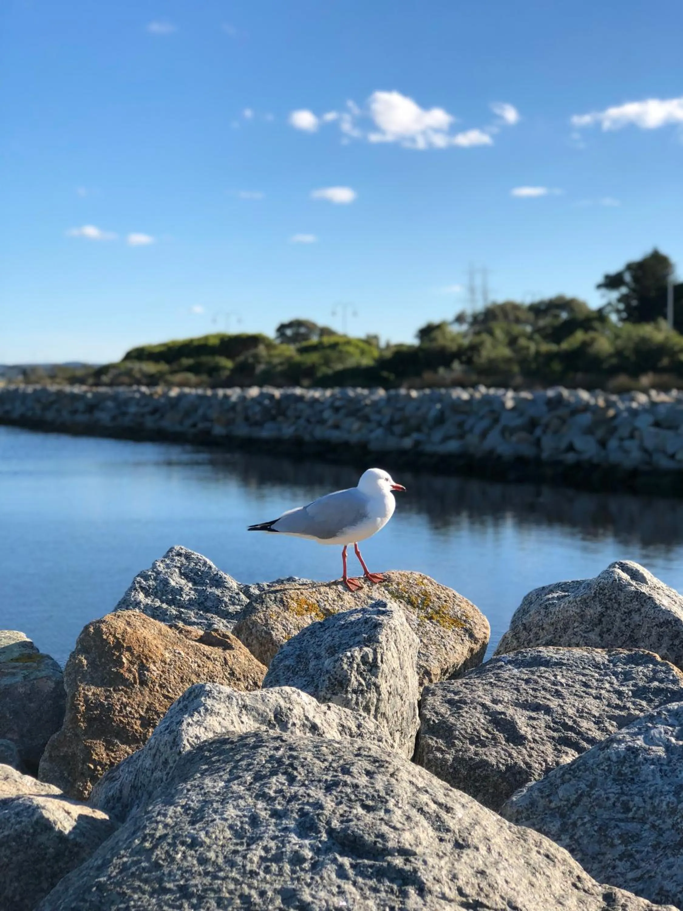 Albany Foreshore Guest House