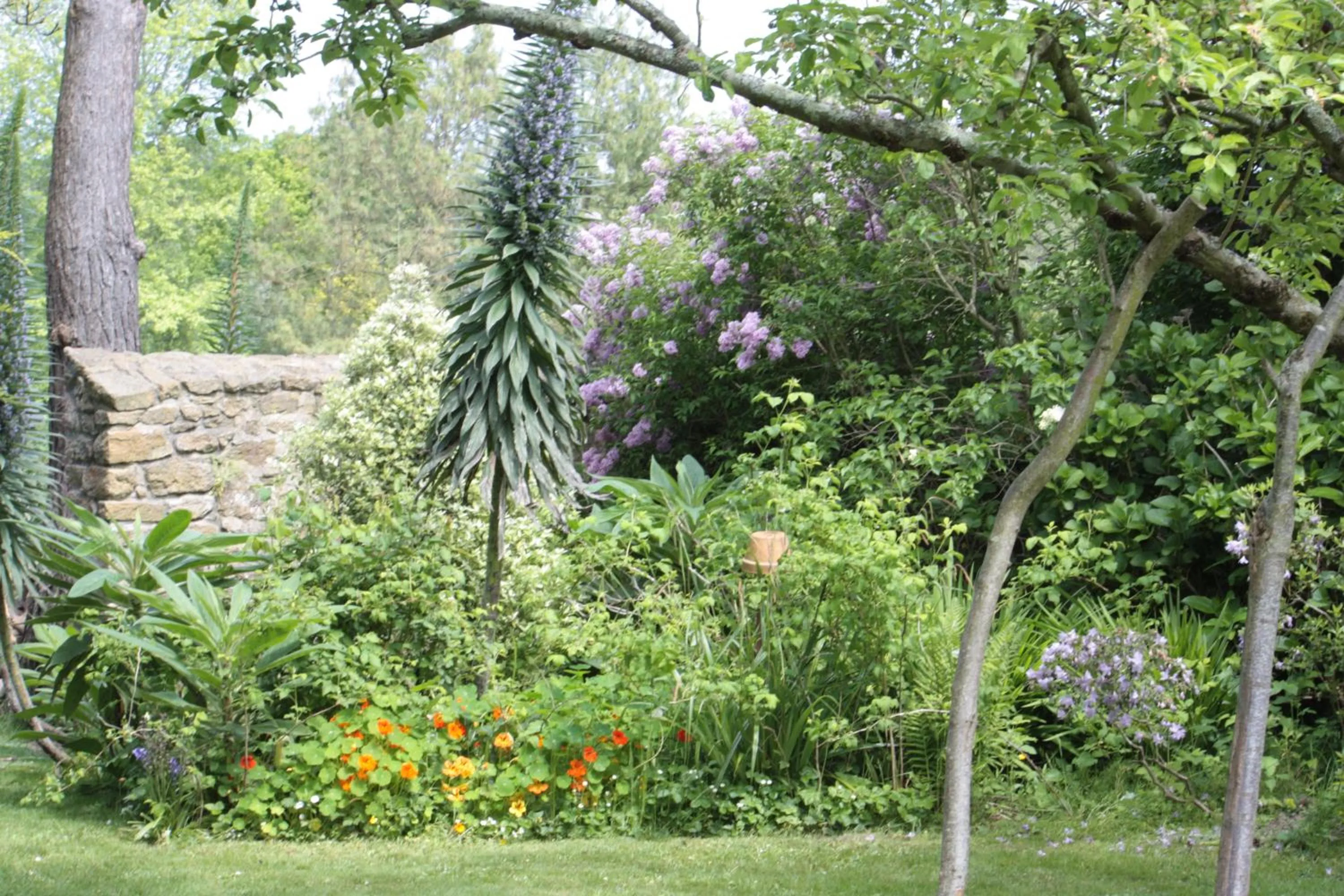Garden in Le Berceul
