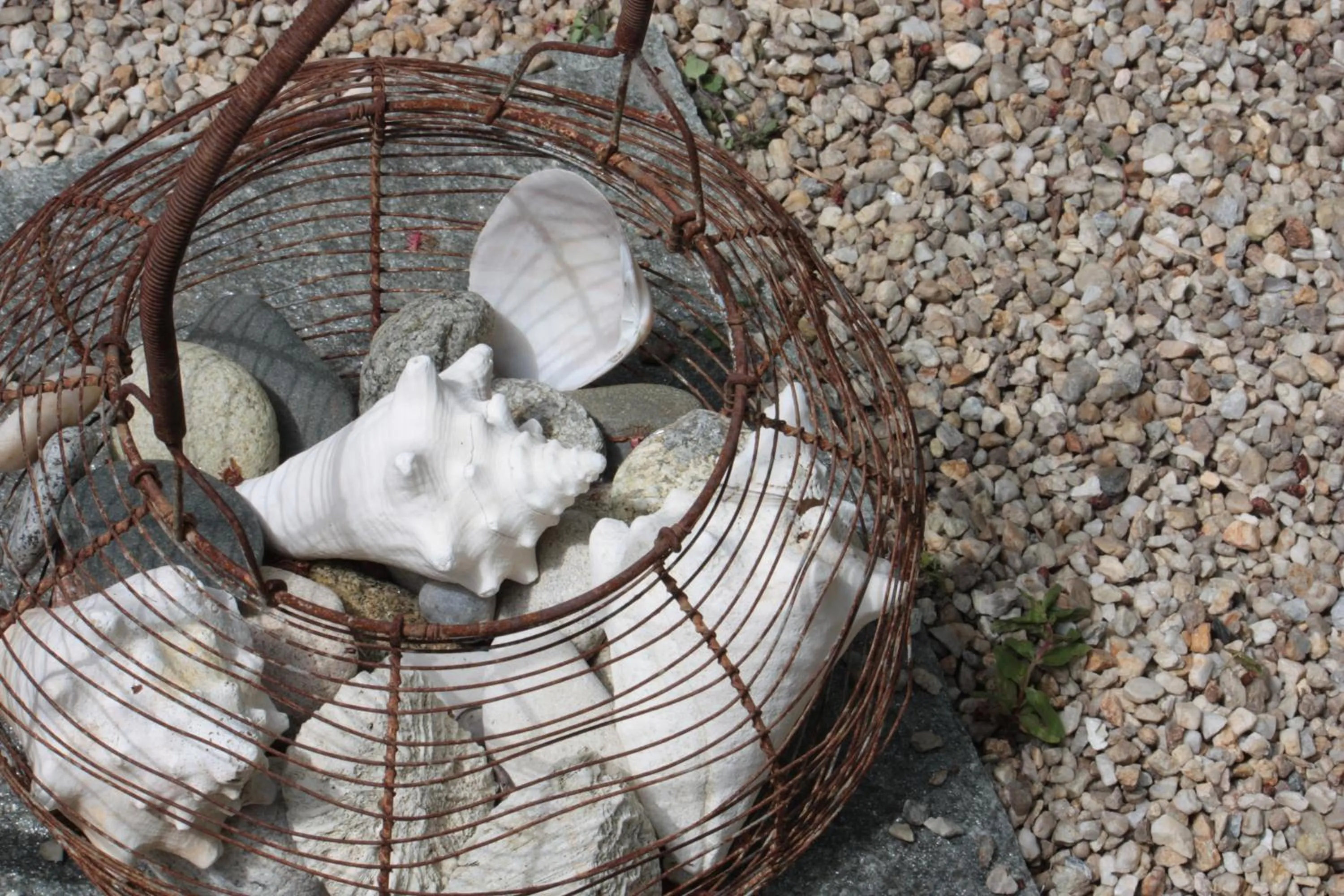 Garden in Le Berceul