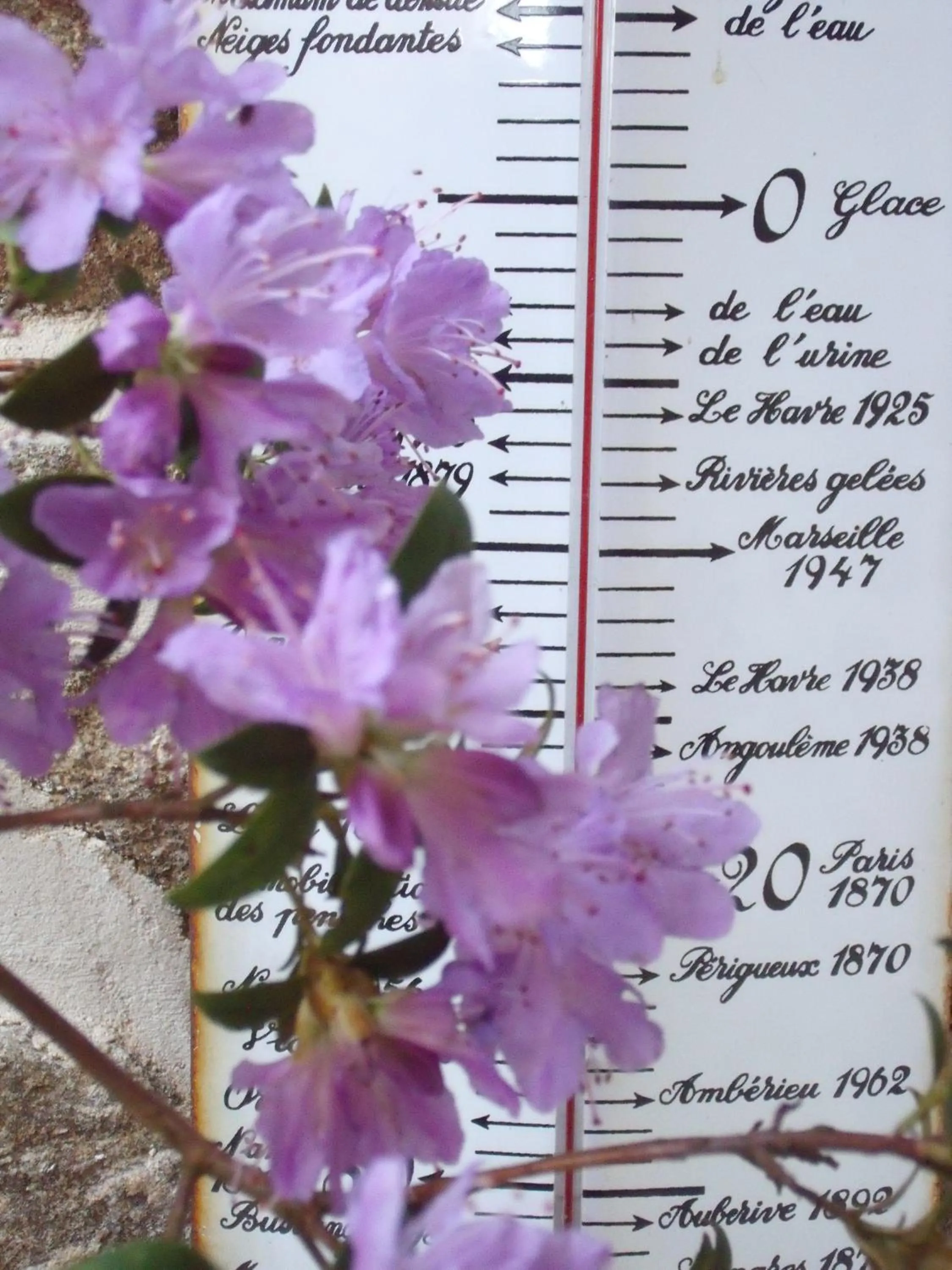 Decorative detail in Le Berceul