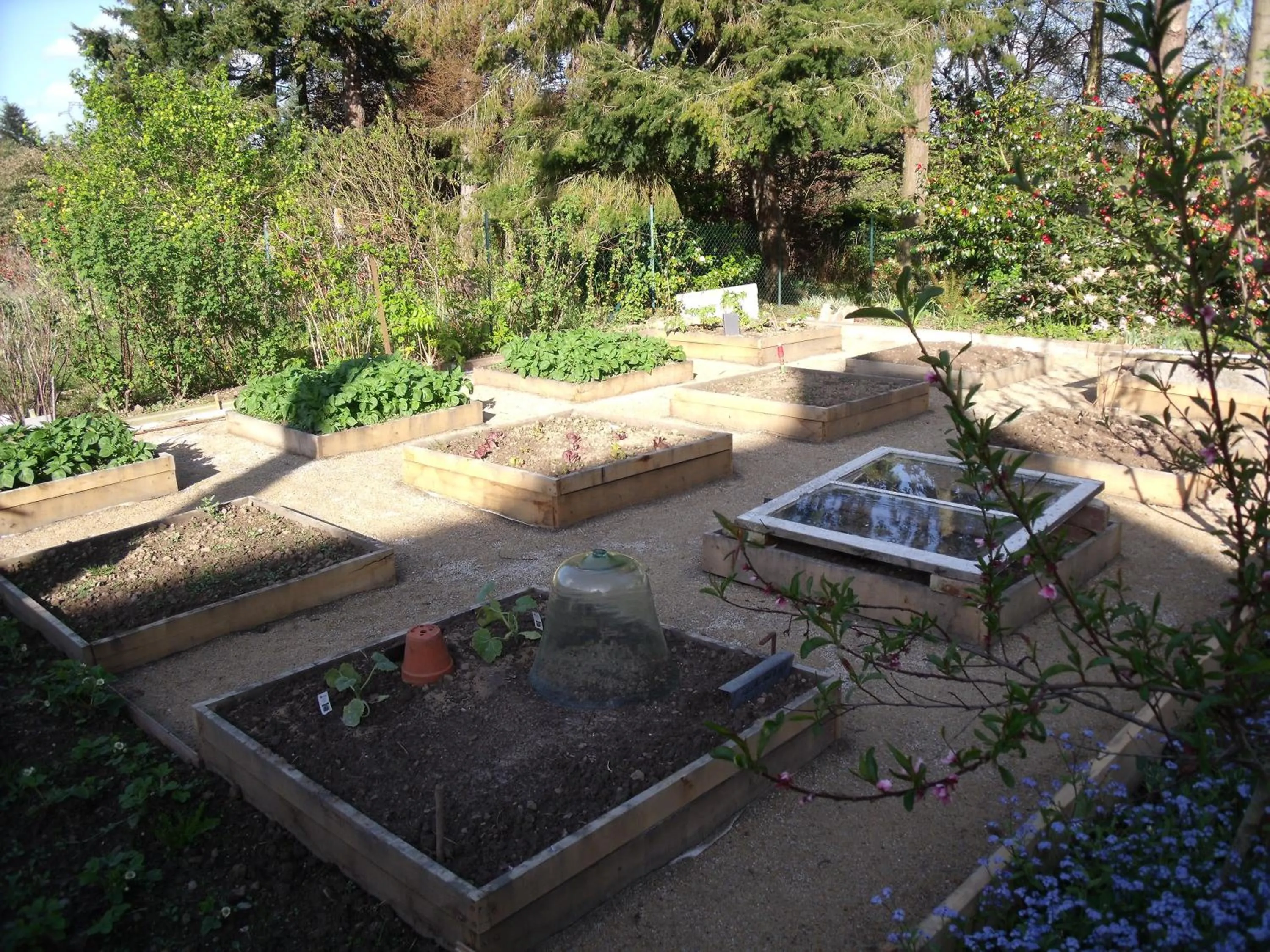 Garden in Le Berceul