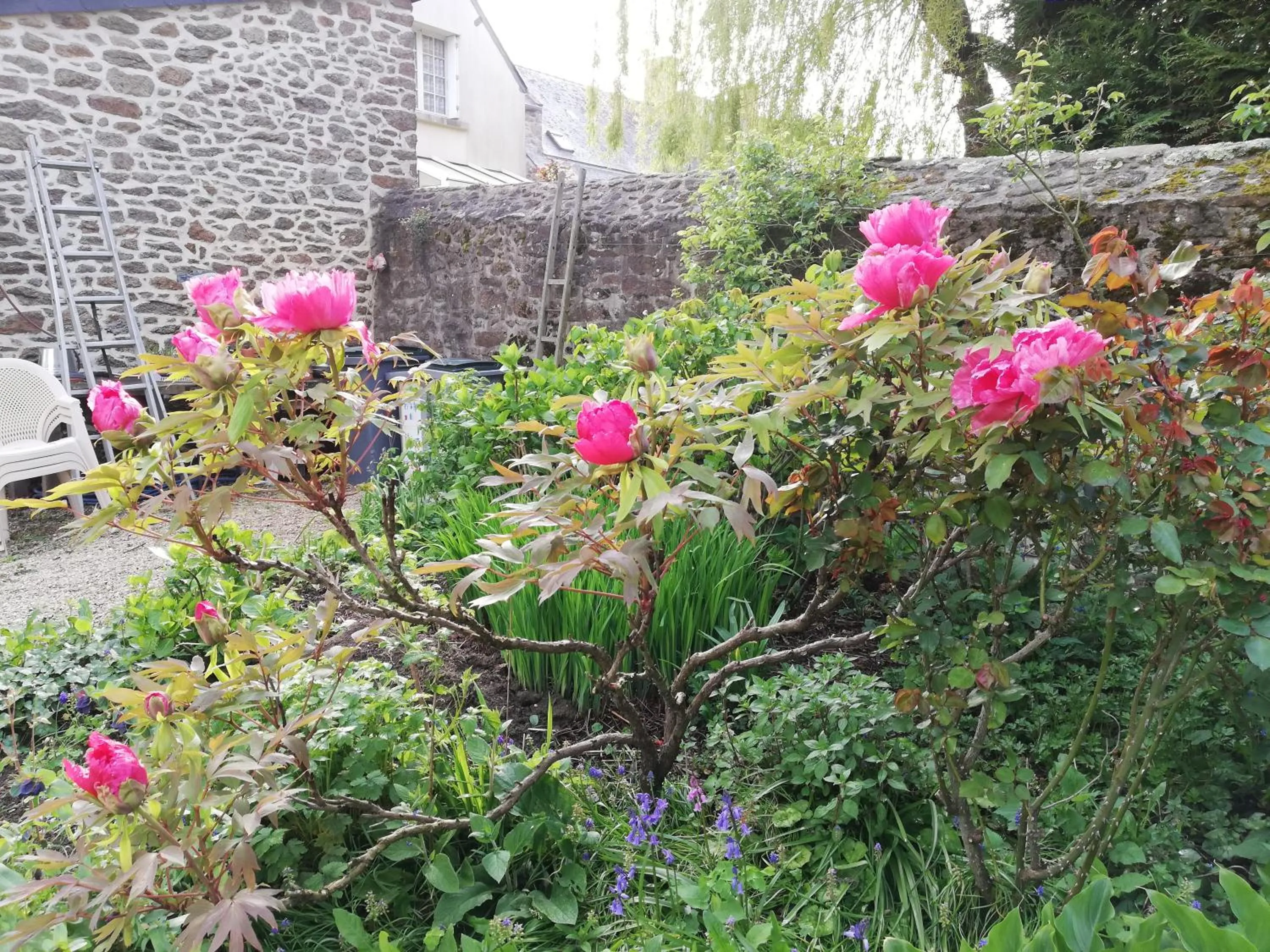 Garden in Le Berceul