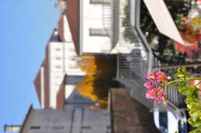 Balcony/Terrace in Già Sera BB Venaria