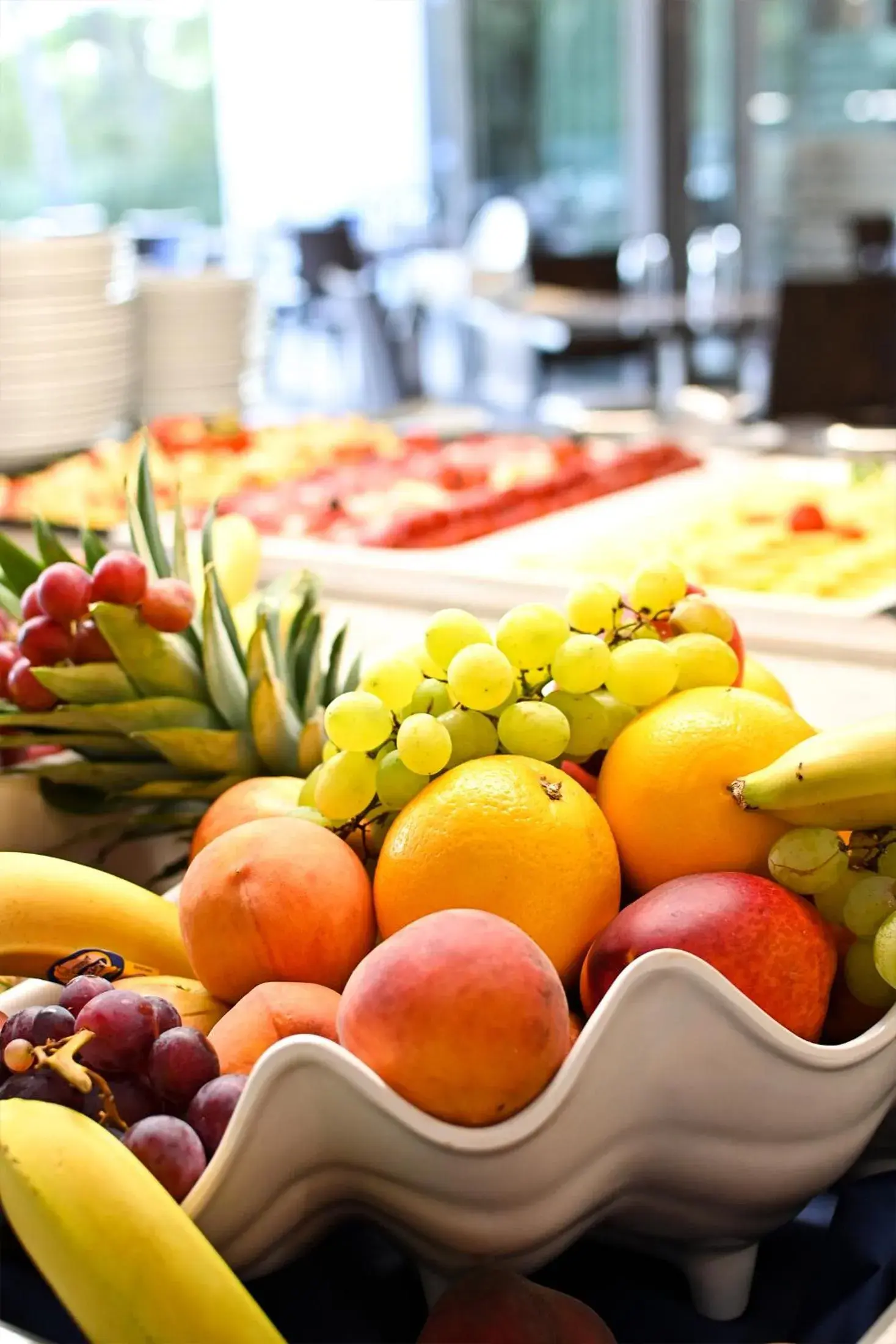 Restaurant/places to eat in Crvena Luka Resort Restaurant/places to eat in Crvena Luka Resort